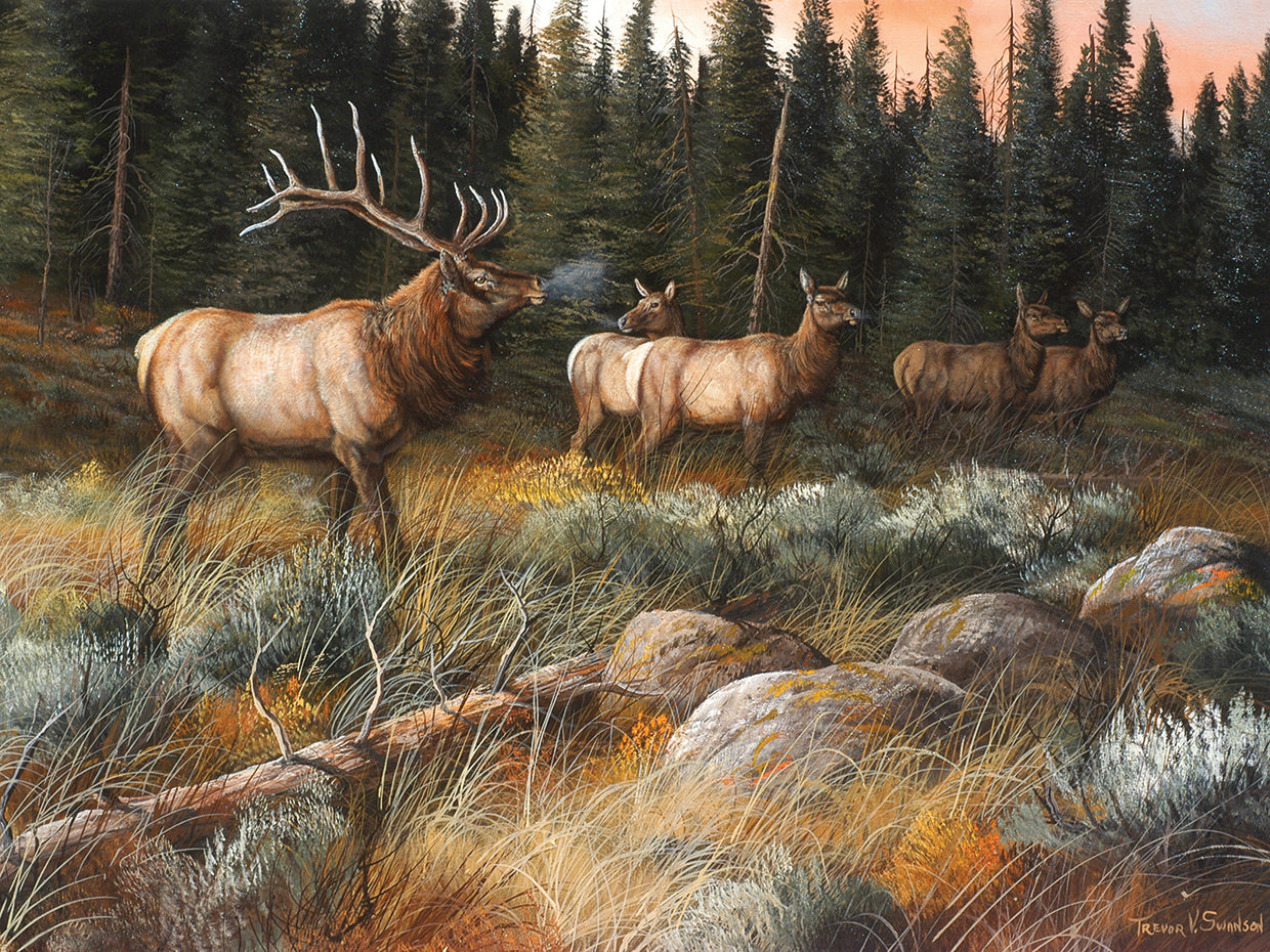 Autumn And On The Move