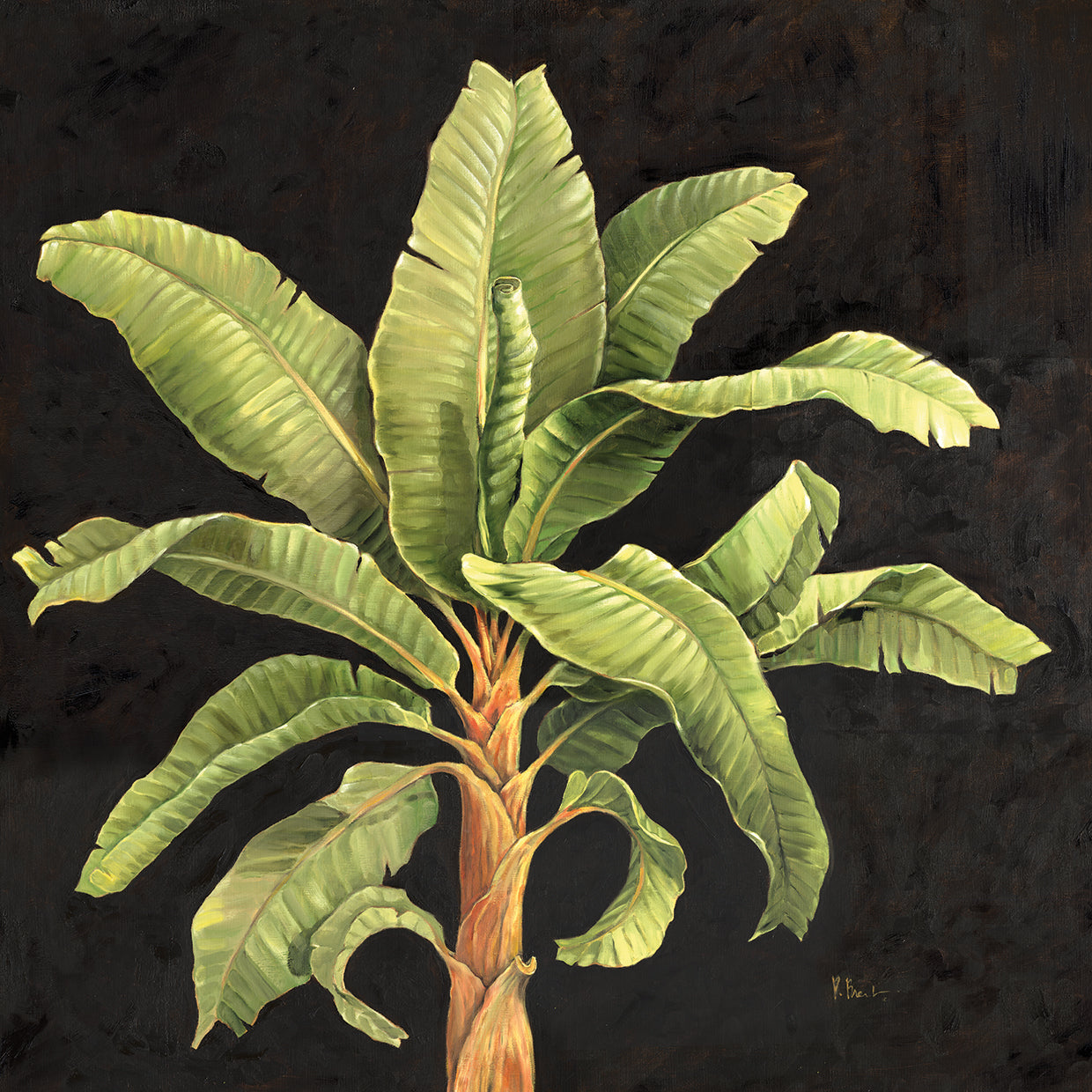 Parlor Palm II by Paul Brent - larger sizes handcrafted wall art work on large canvas & framed canvas prints