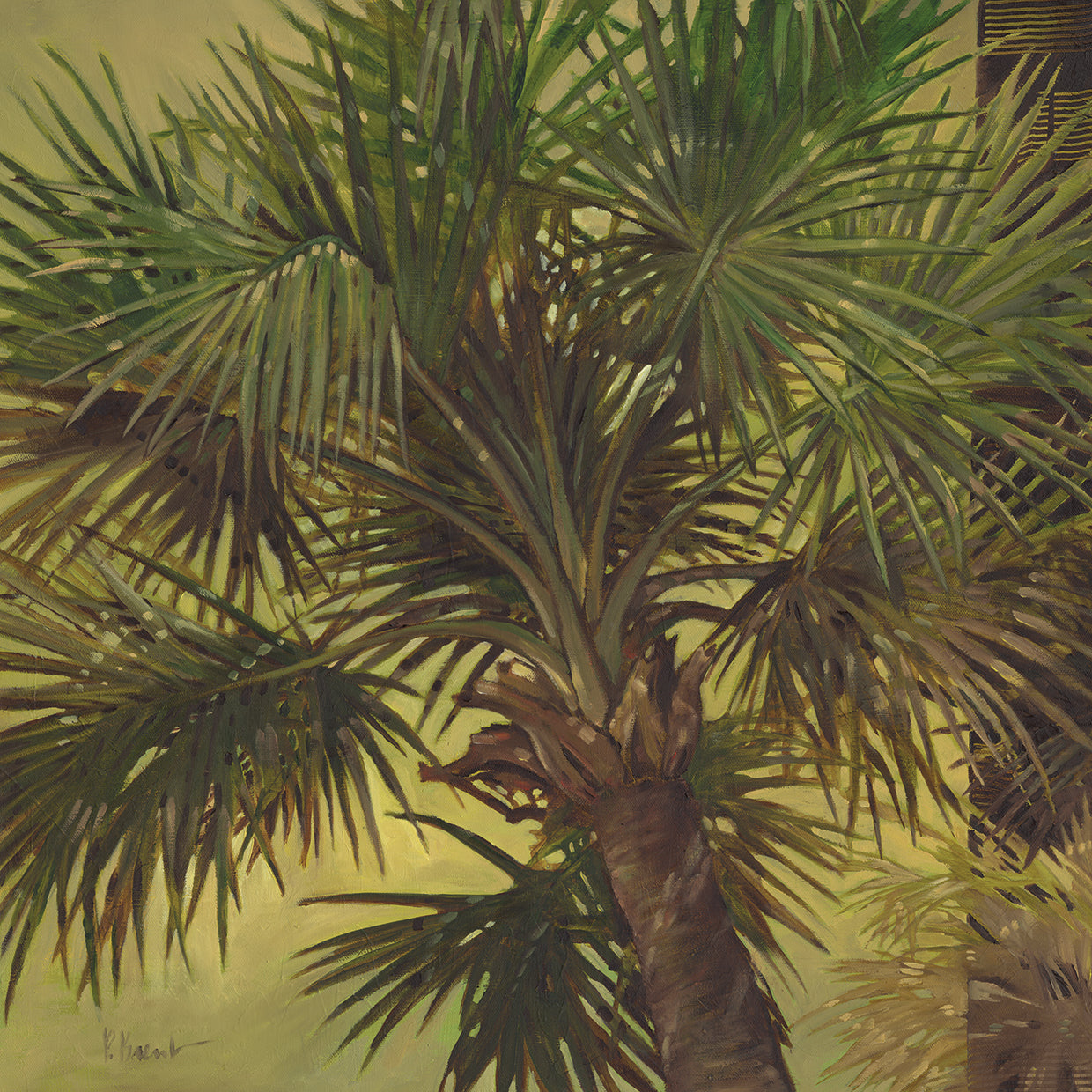 Sable Palm by Paul Brent - top quality wall art work on large canvas & framed canvas prints