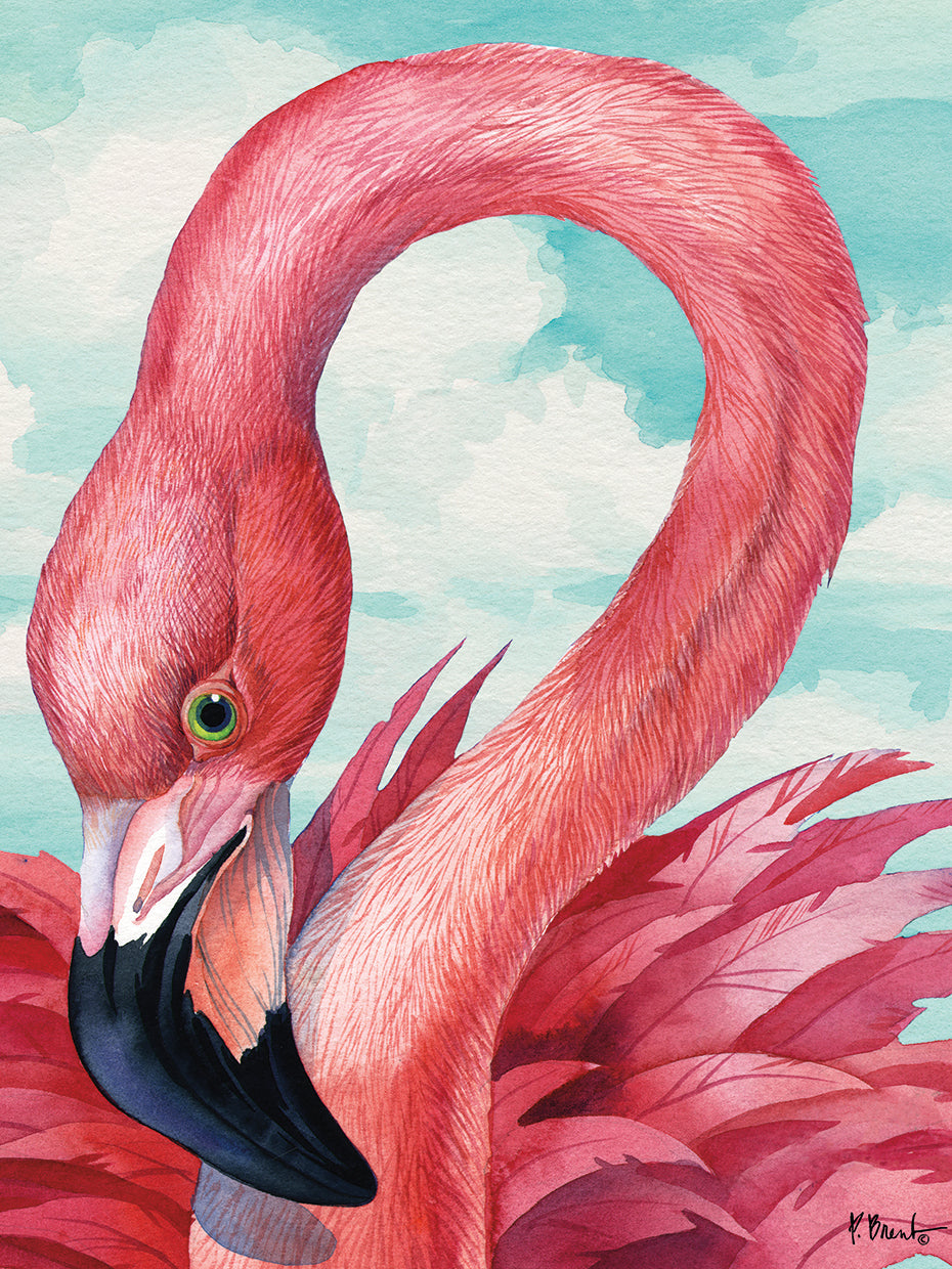 Fab Flamingo by Paul Brent - museum quality wall art work on large canvas & framed canvas prints