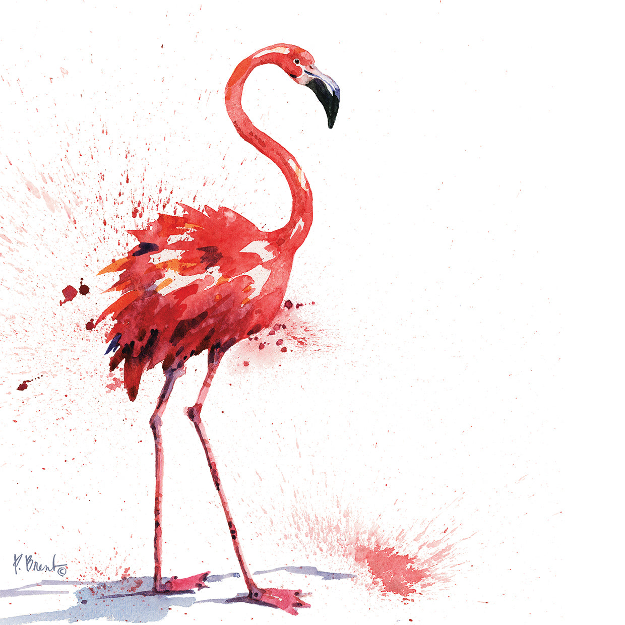 Arianna Flamingo I by Paul Brent - lowest price wall art work on large canvas & framed canvas prints