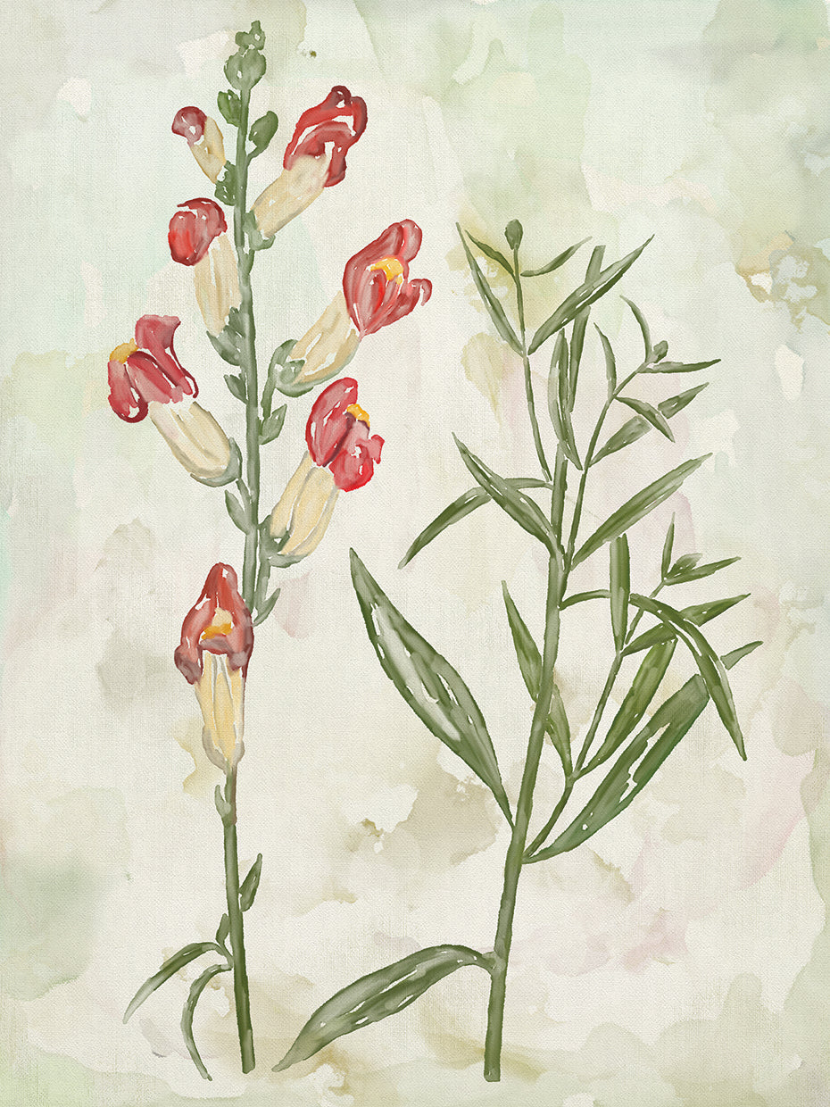 Watercolor Botnay II