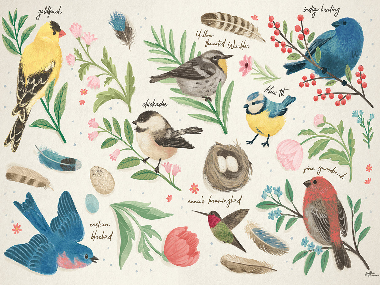 Estudio de aves I Arte en lienzo