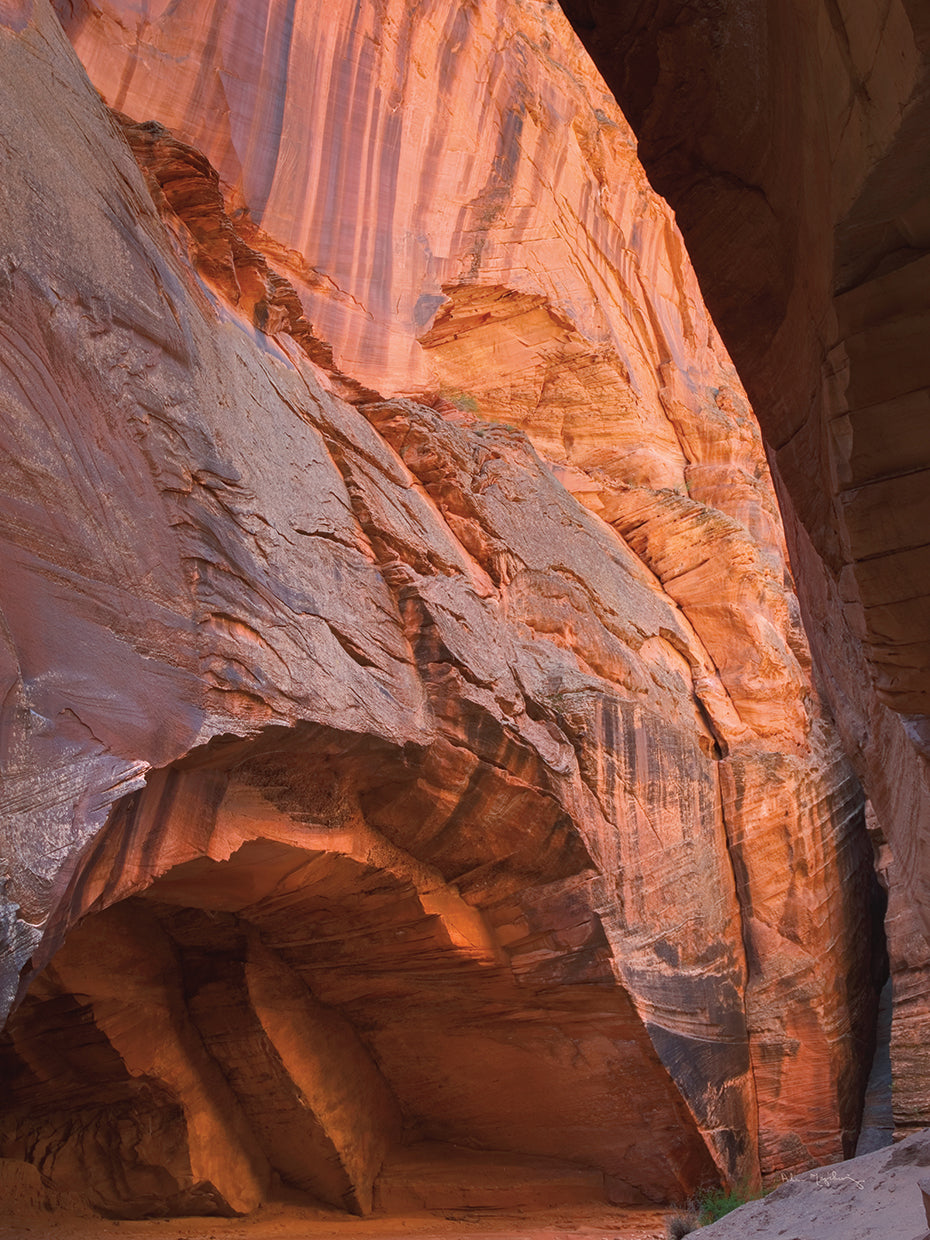 Buckskin Gulch II