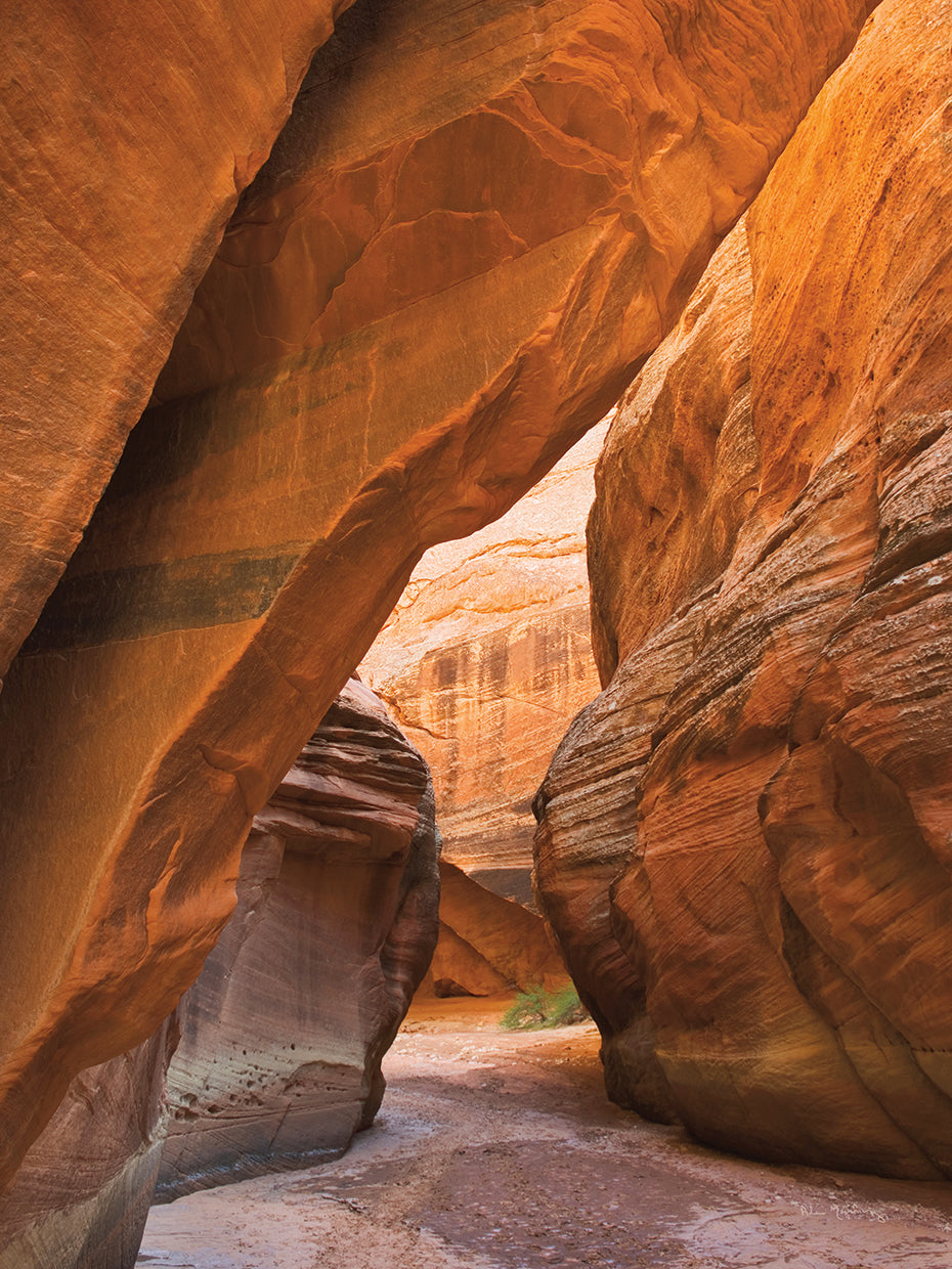 Buckskin Gulch I