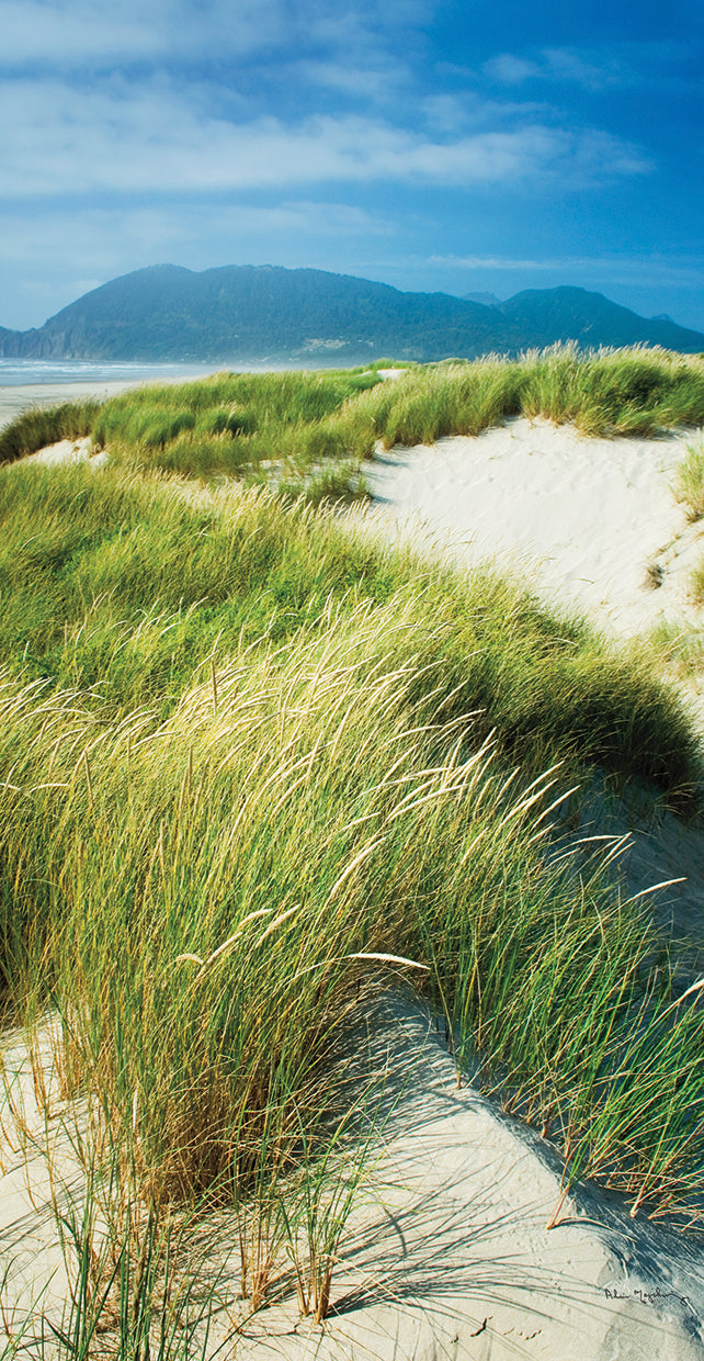 Oregon Dunes Grass