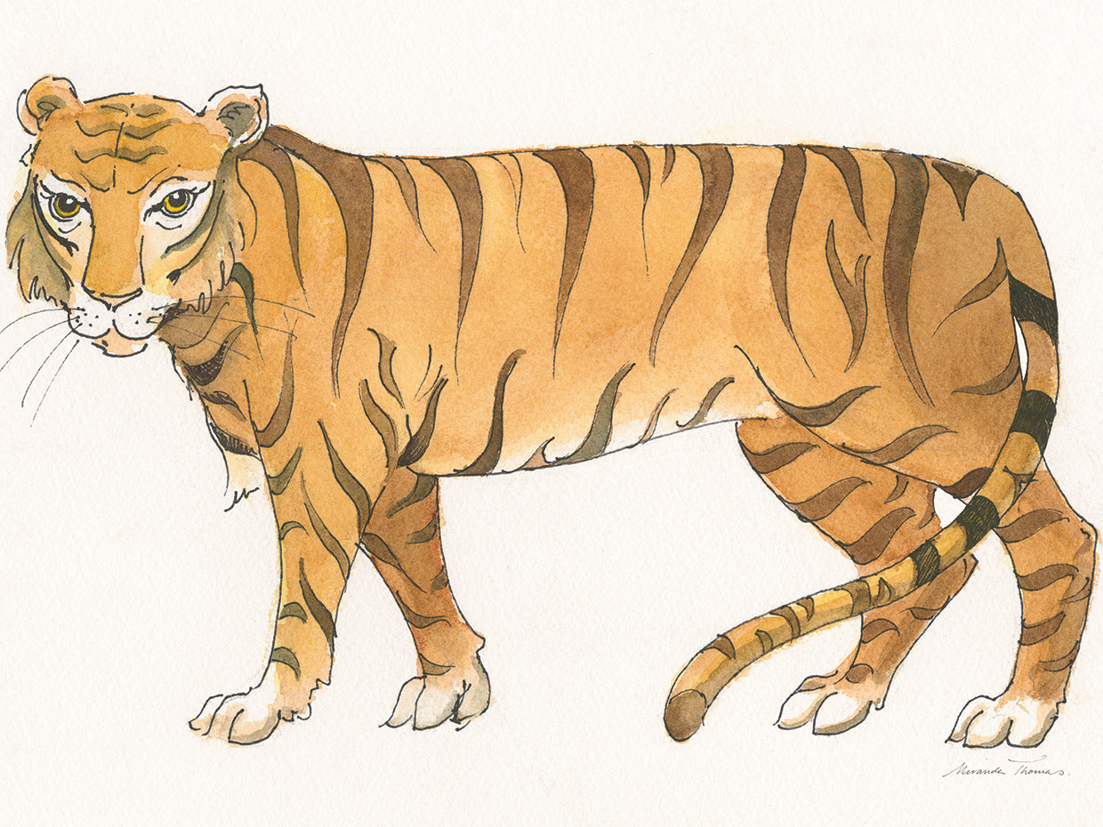 Arte de la lona de los grandes felinos IV