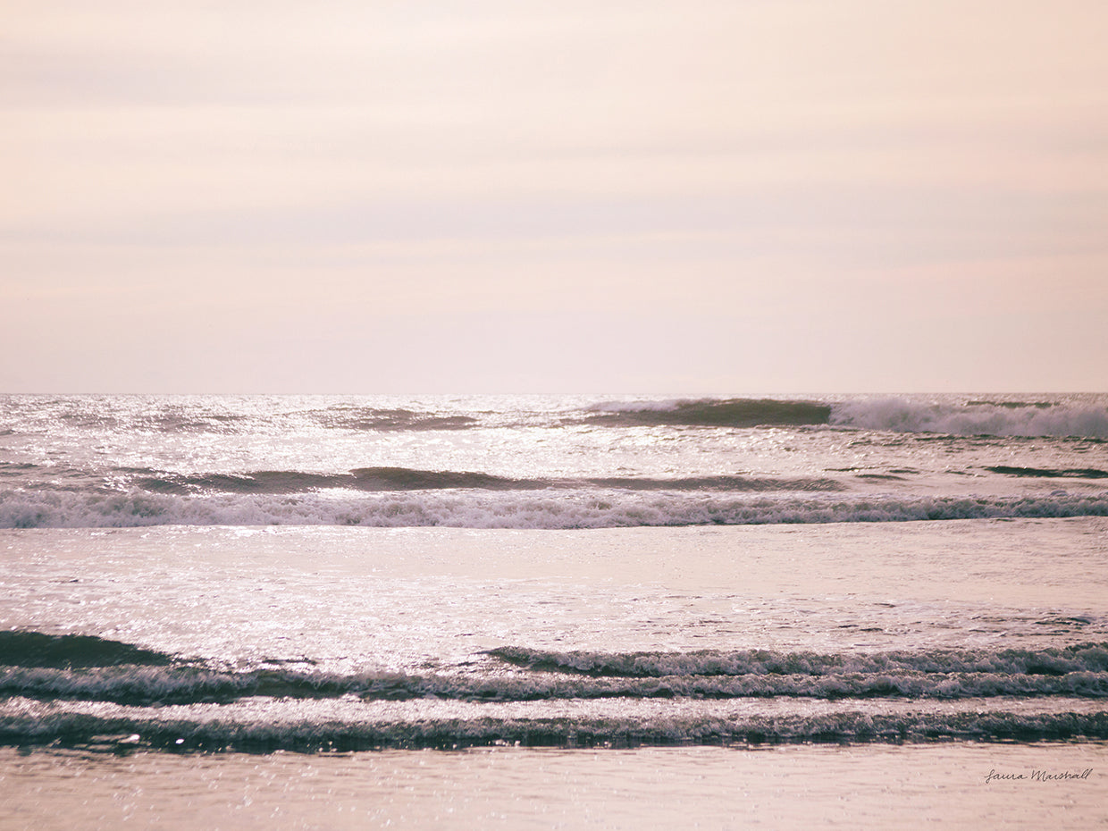 Arte de la lona de la costa de Kalaloch II