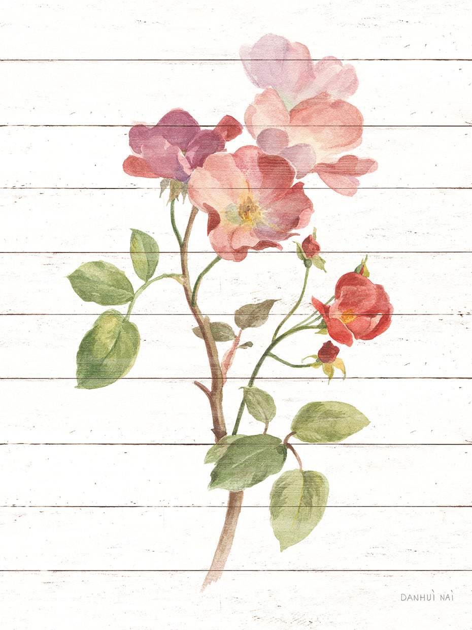 Sprigs of Summer I by Danhui Nai - highest quality handcrafted wall art work on large canvas & framed canvas prints