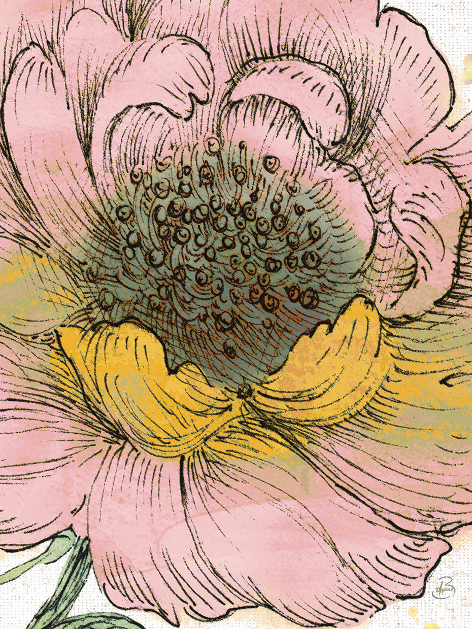 Blossom Sketches III Pink Crop