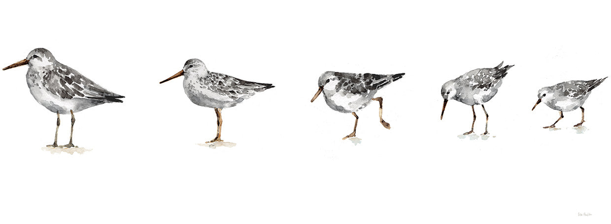 Pebbles and Sandpipers IX Grey No Words Border Canvas Art