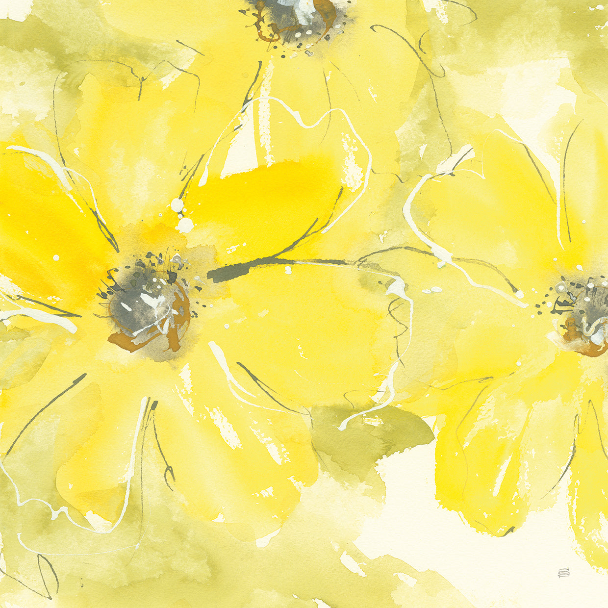 Arte en lienzo Sunshine Cosmos II