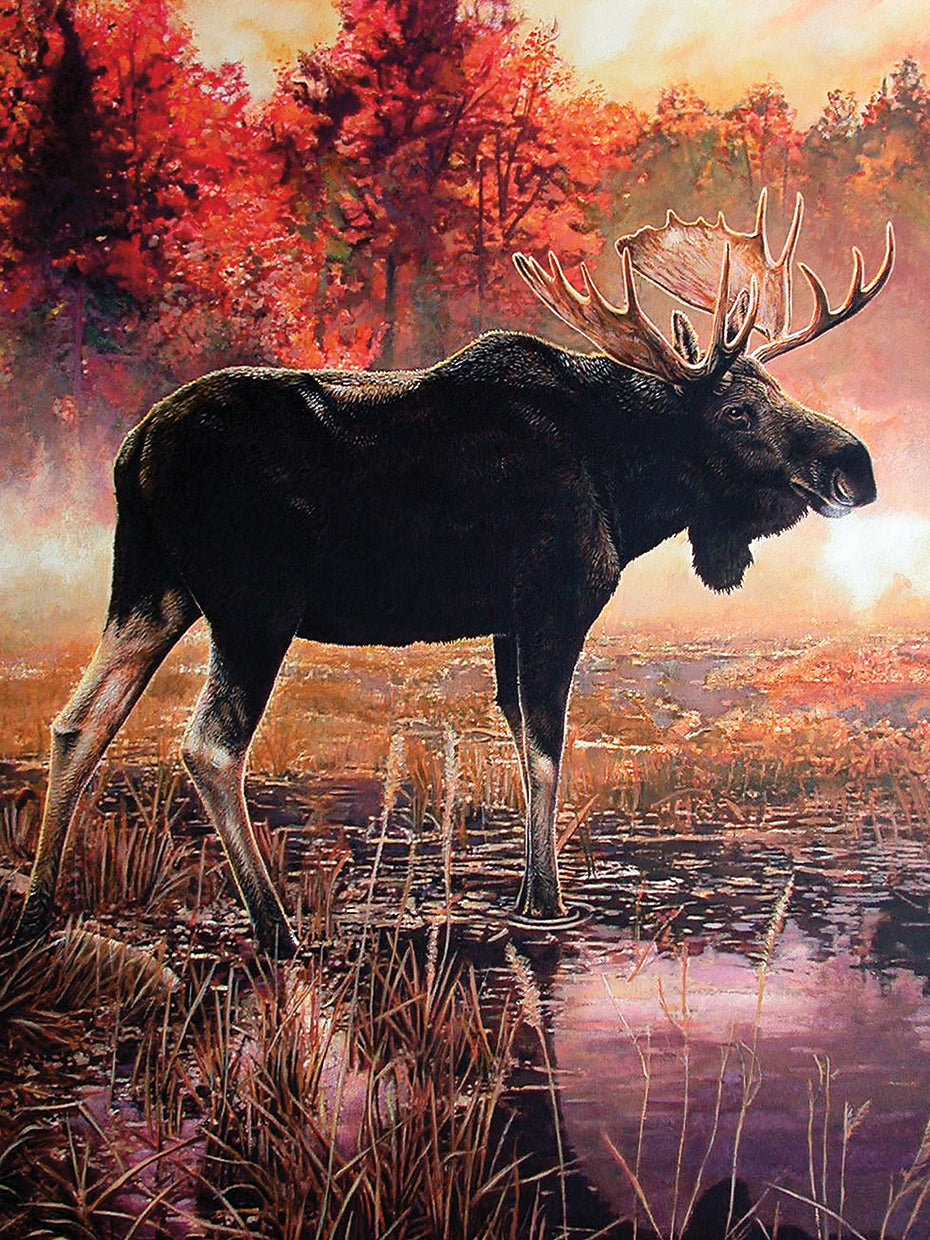 Big Autumn Moose