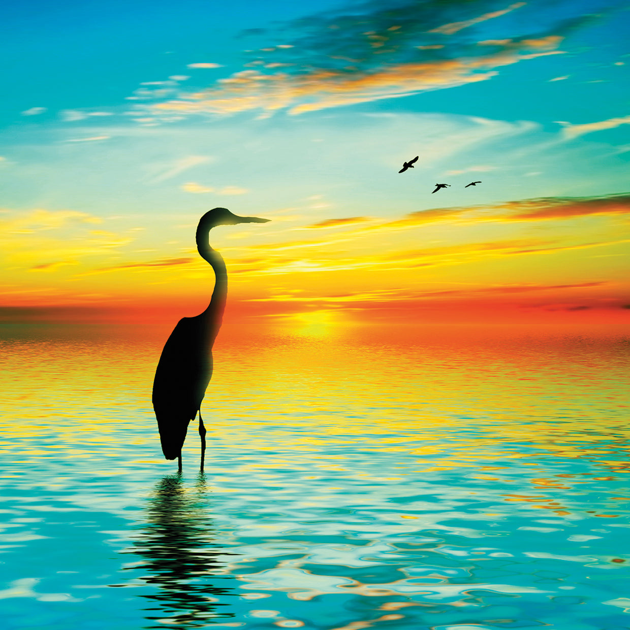 Golden Heron Sunset