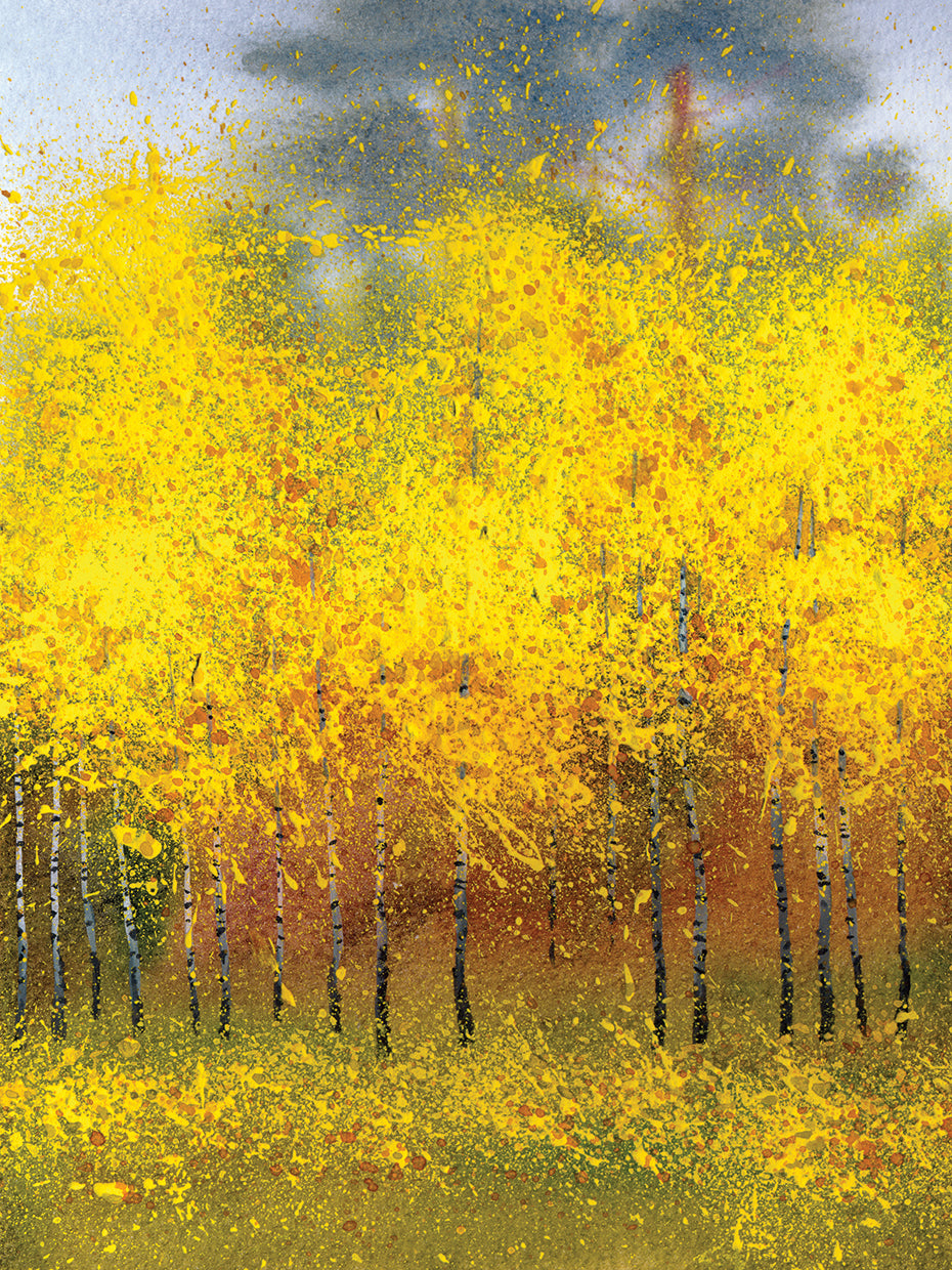 Bright Gold Birch Trees