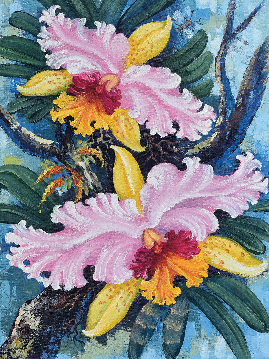 Arte exótico de la lona de las orquídeas tailandesas