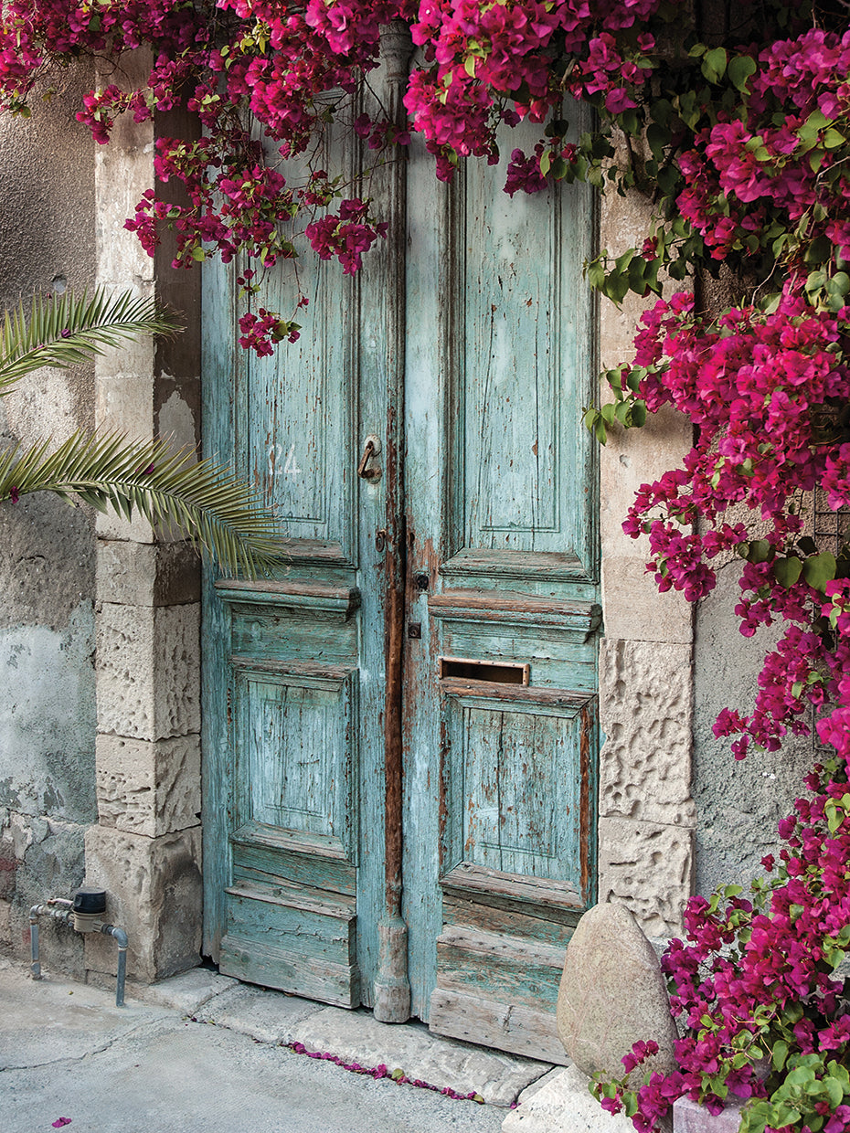 Hot Pinks Blue Door