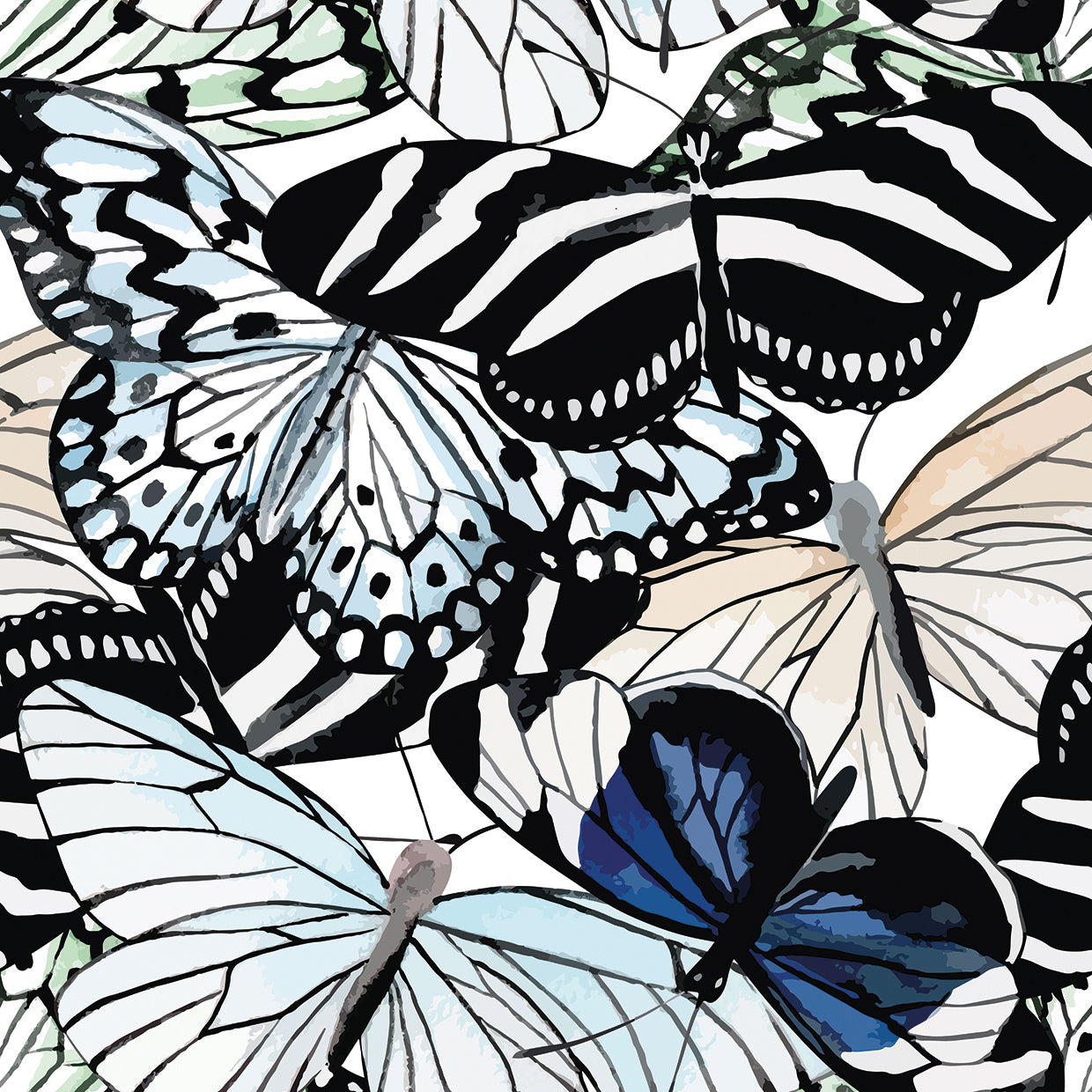 Blue Zebra Butterflies