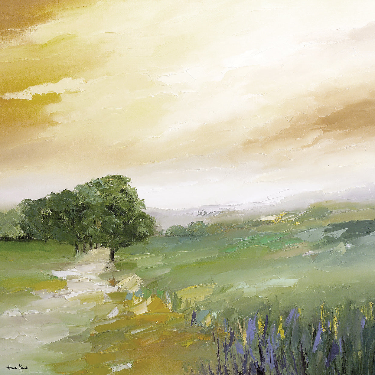 Early Evening Sky Light