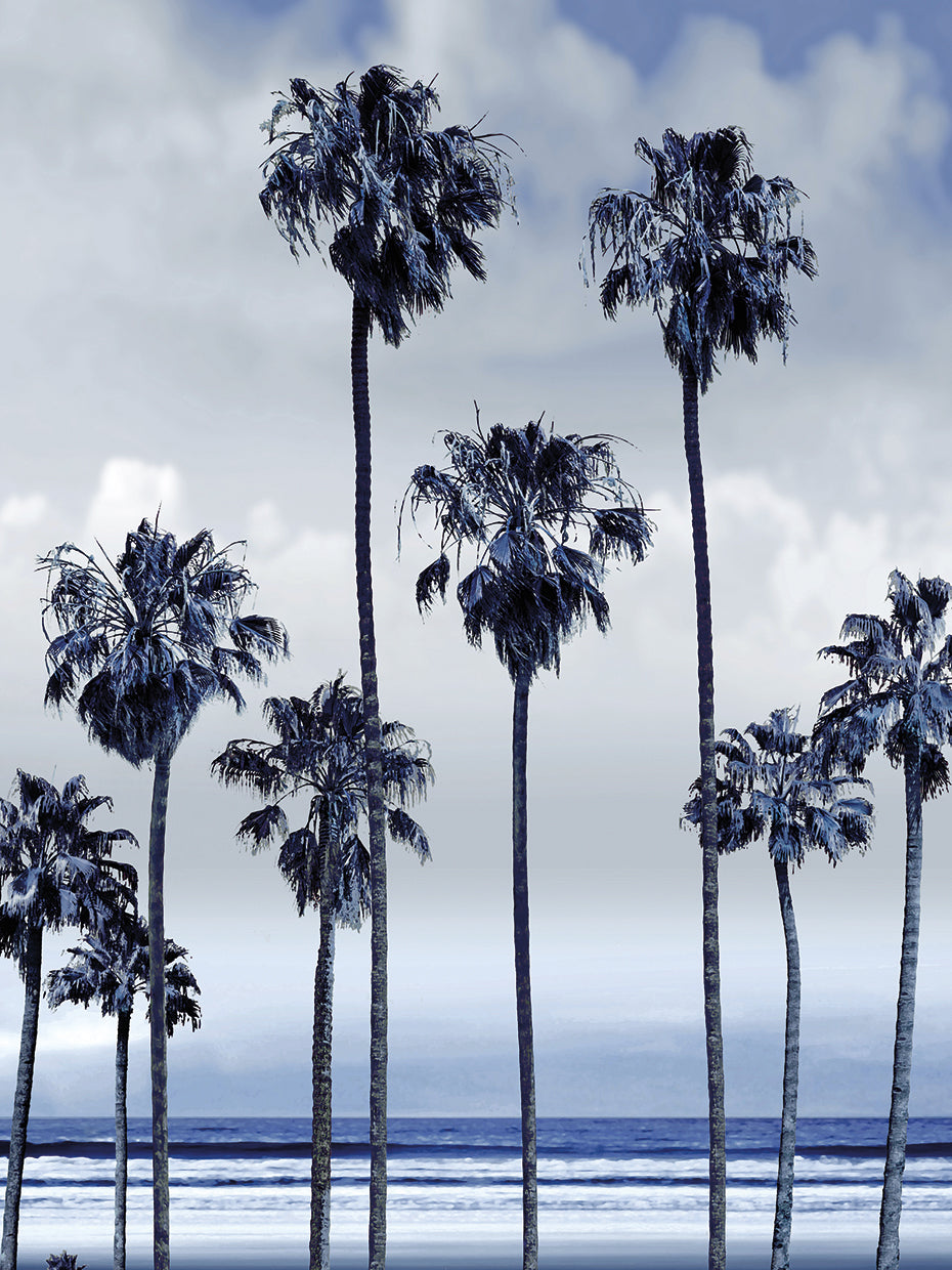Beach Palms Indigo II