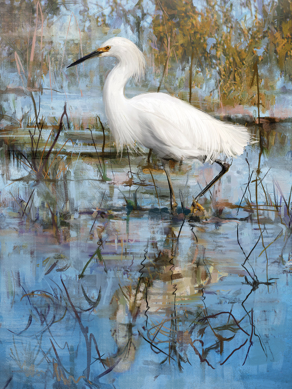 White Egrets