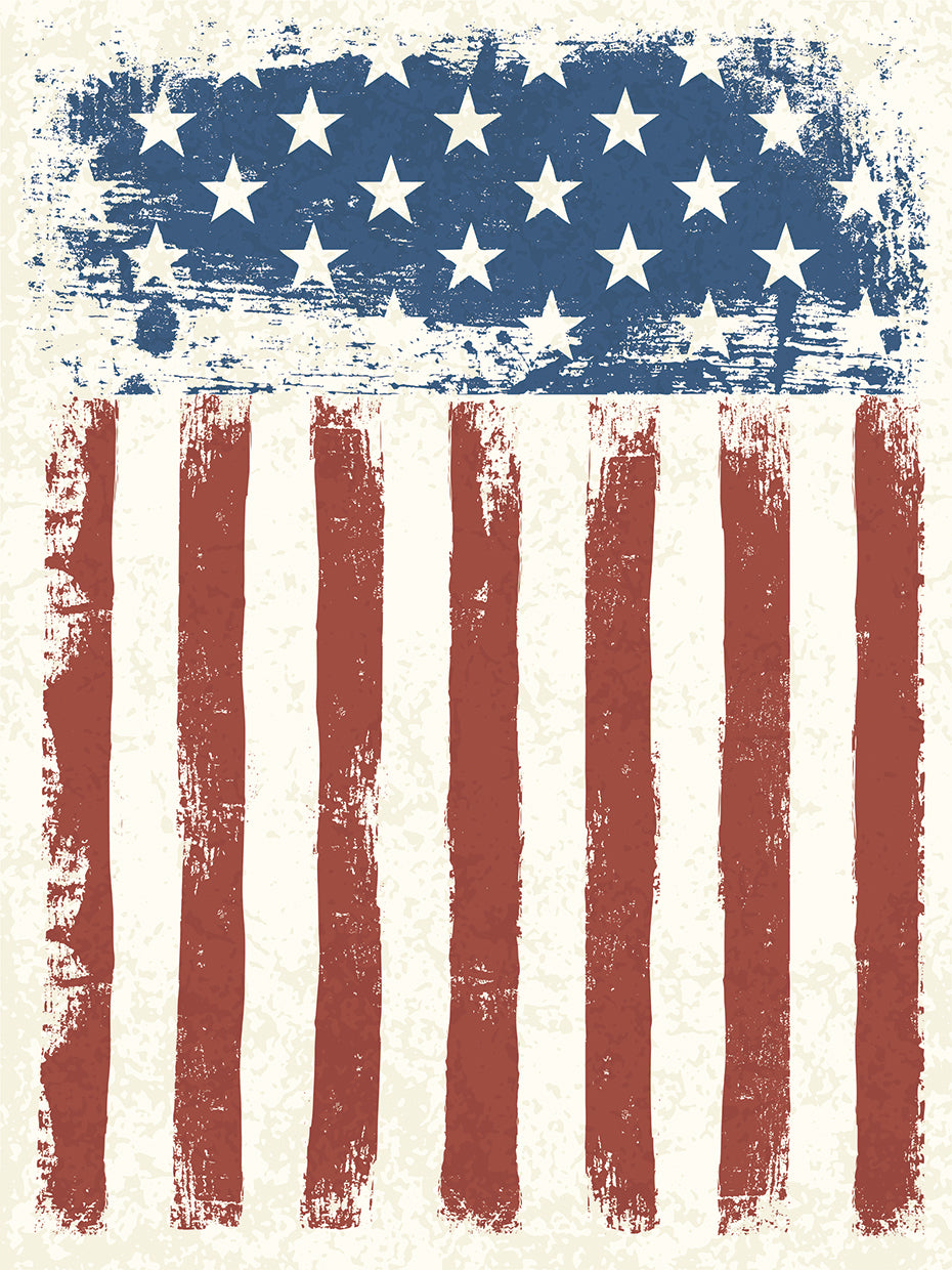 Arte de la lona del orgullo patriótico