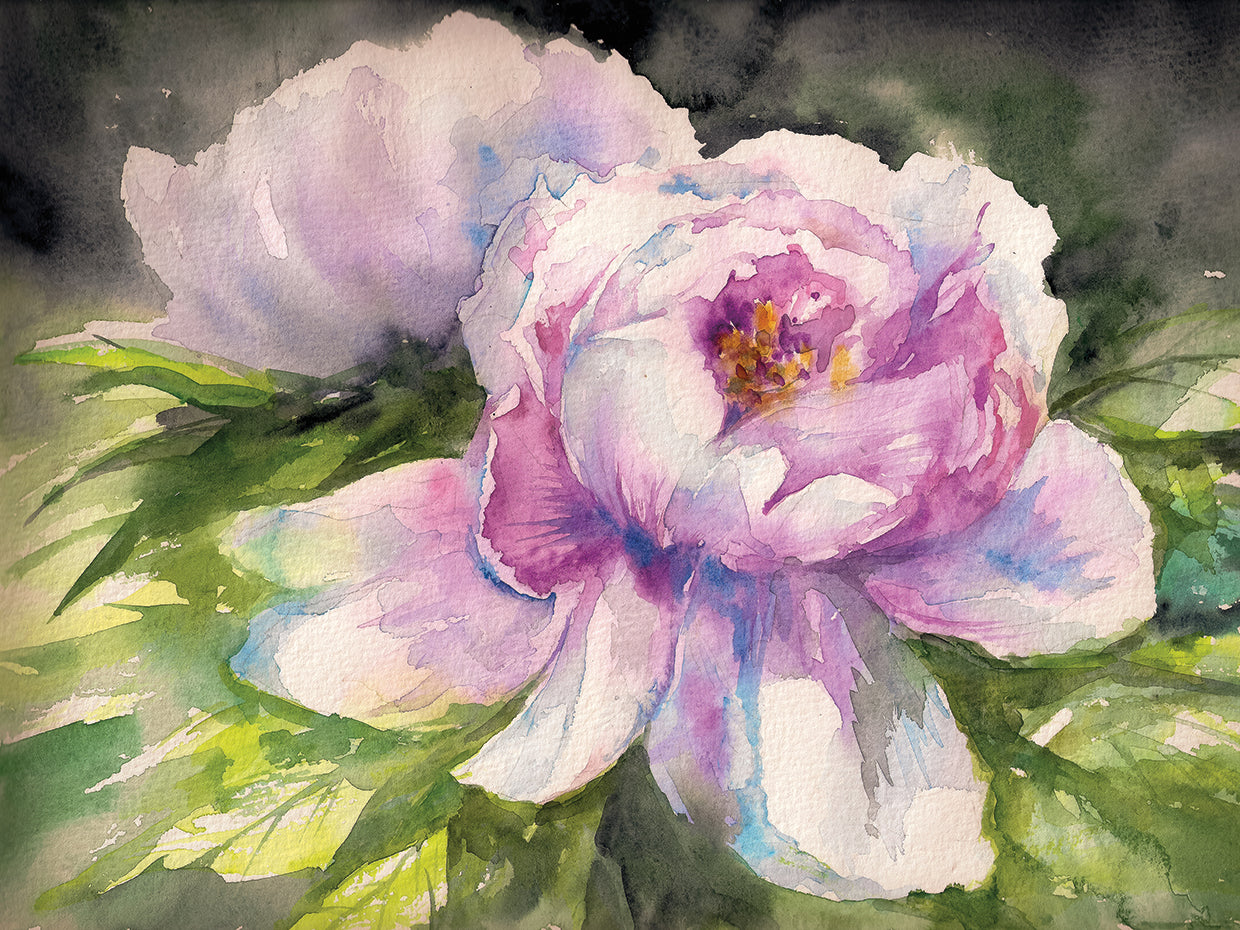 Plush Pink and Purple Peony