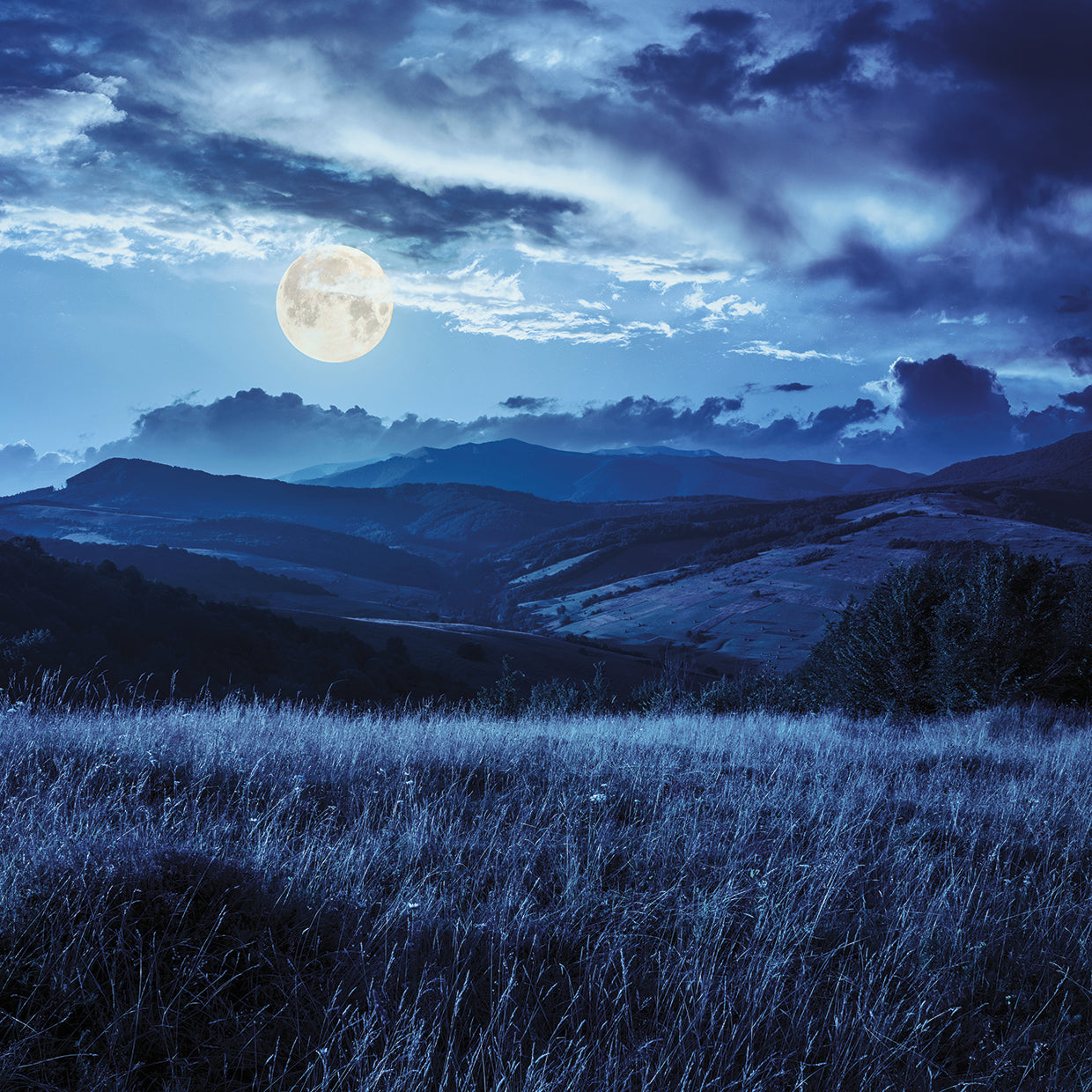 Prado bajo la luz de la luna llena Lienzo