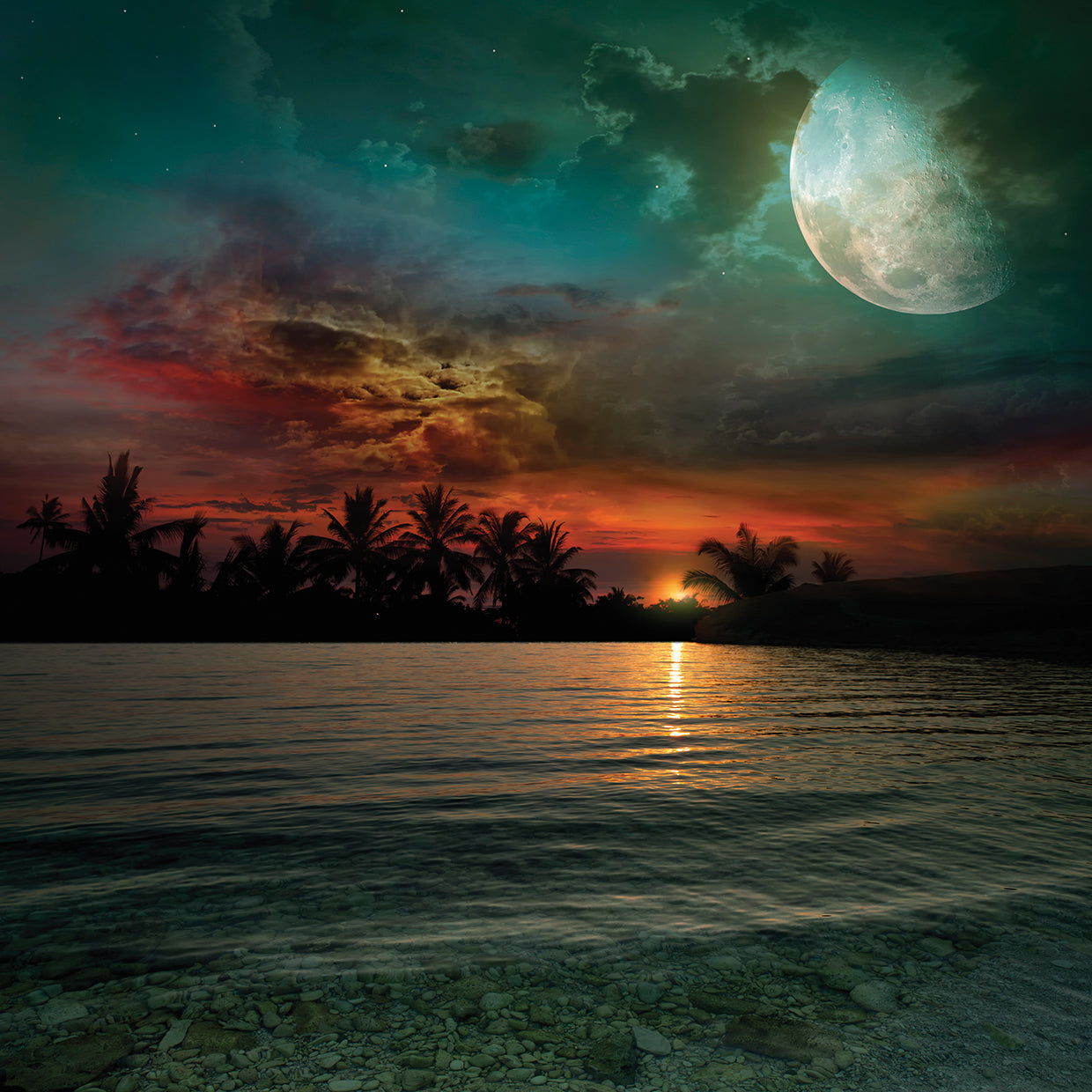 Arte de la lona de la luna del misterio tropical