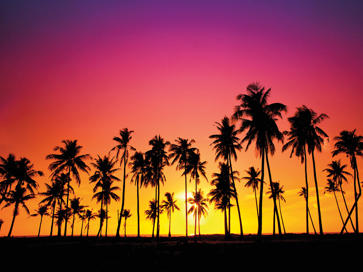 Golden Hot Pink Palms