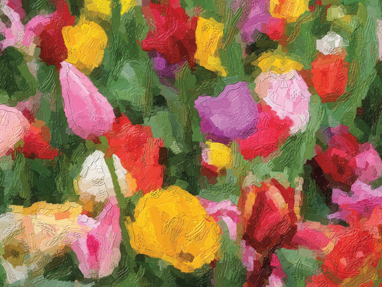 Impressions of a Dutch Garden