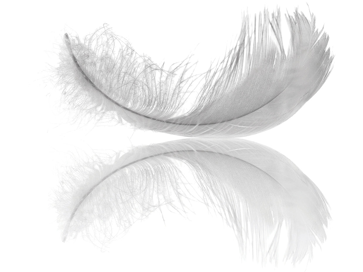 Flip Flopped Feather