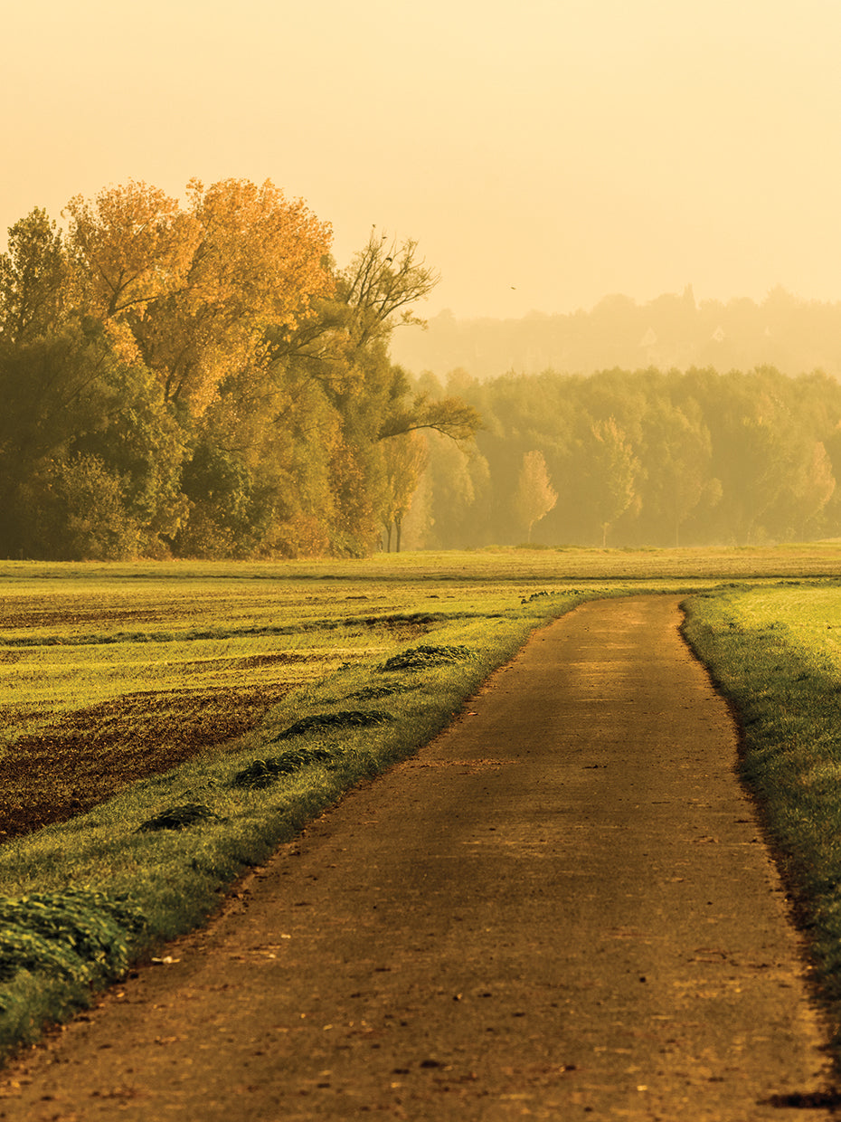 Cuadro en lienzo Caminando hacia los campos de otoño