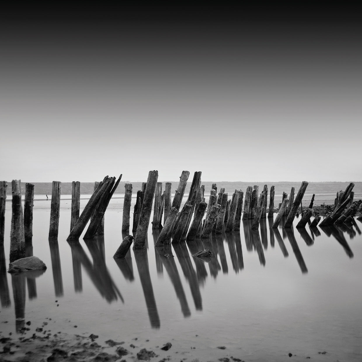 Arte de la lona de los diseños grises oscuros del mar muerto