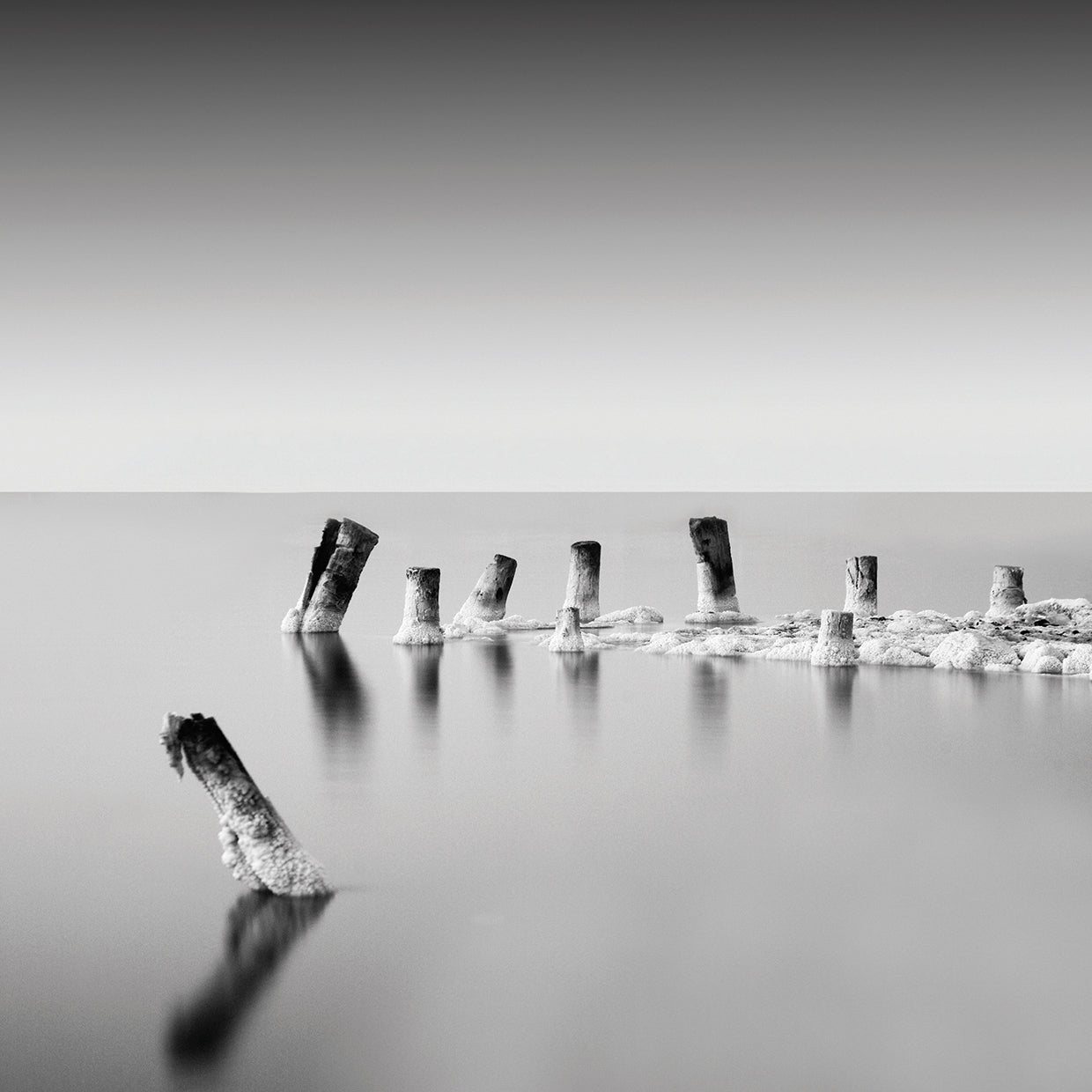 Arte de la lona de los bailarines diurnos del mar muerto