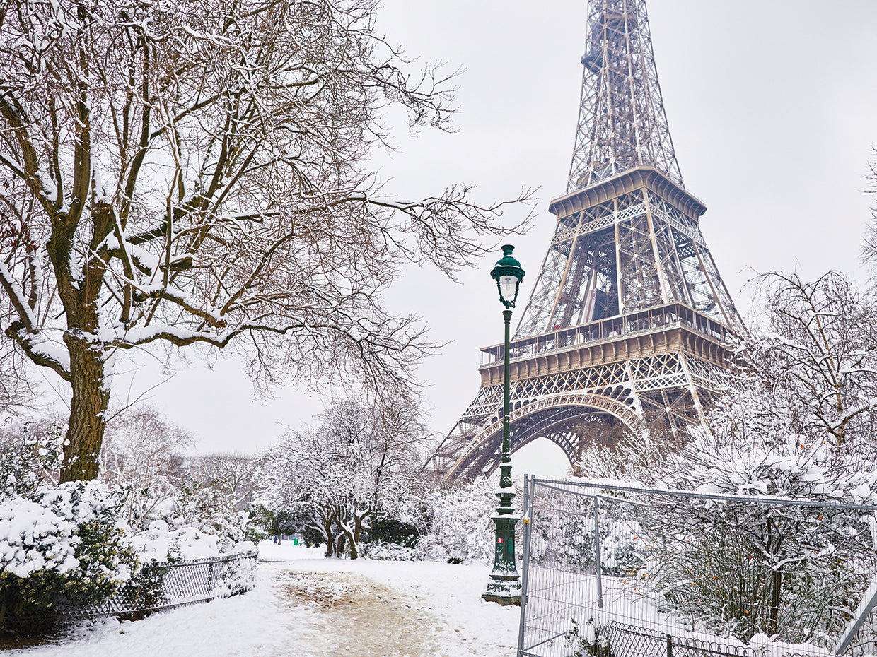 Winter's Magic Eiffel Tower