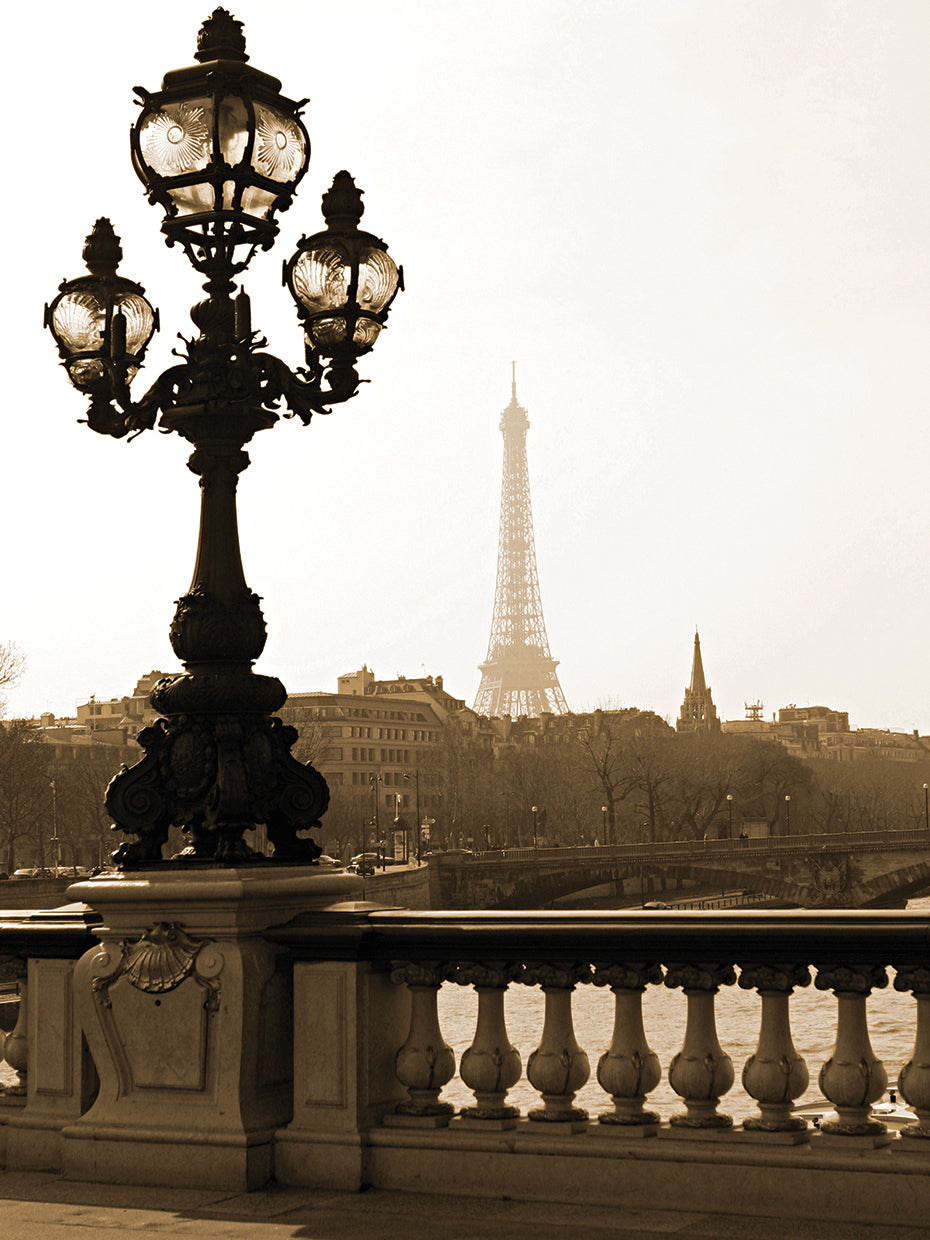 Lienzo Torre Eiffel desde el puente