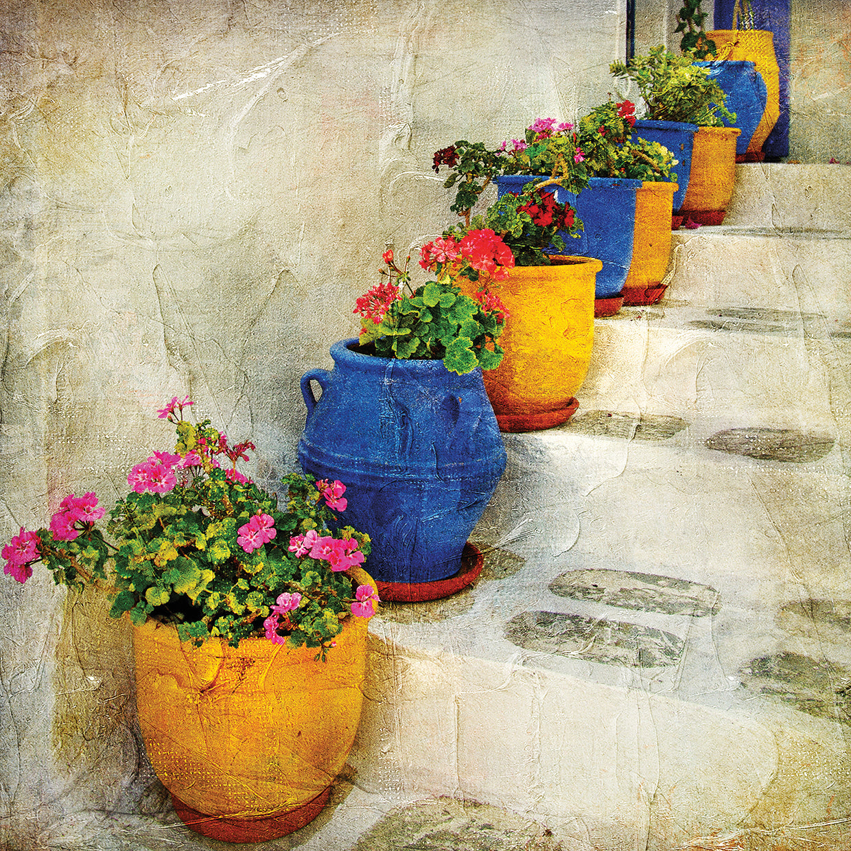 Stepping Stone Greek Flowers