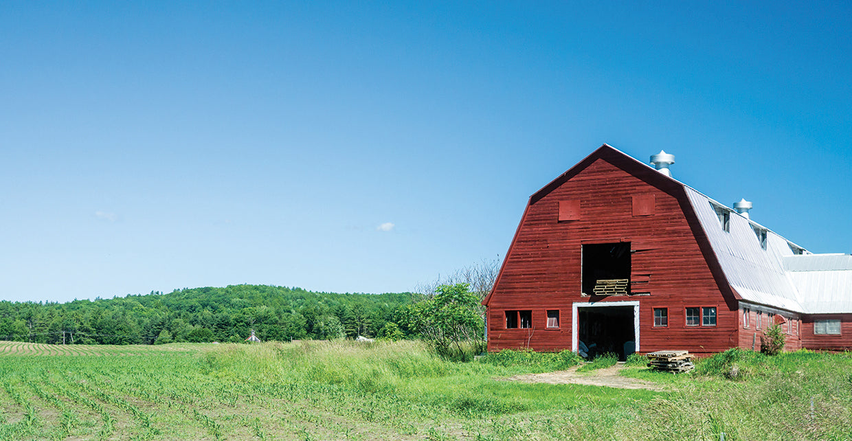 Apple Red Vermont Barn