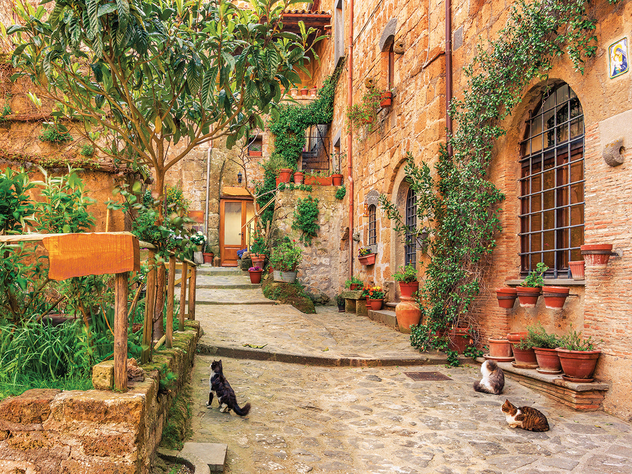 Curious Tourist in Tuscany
