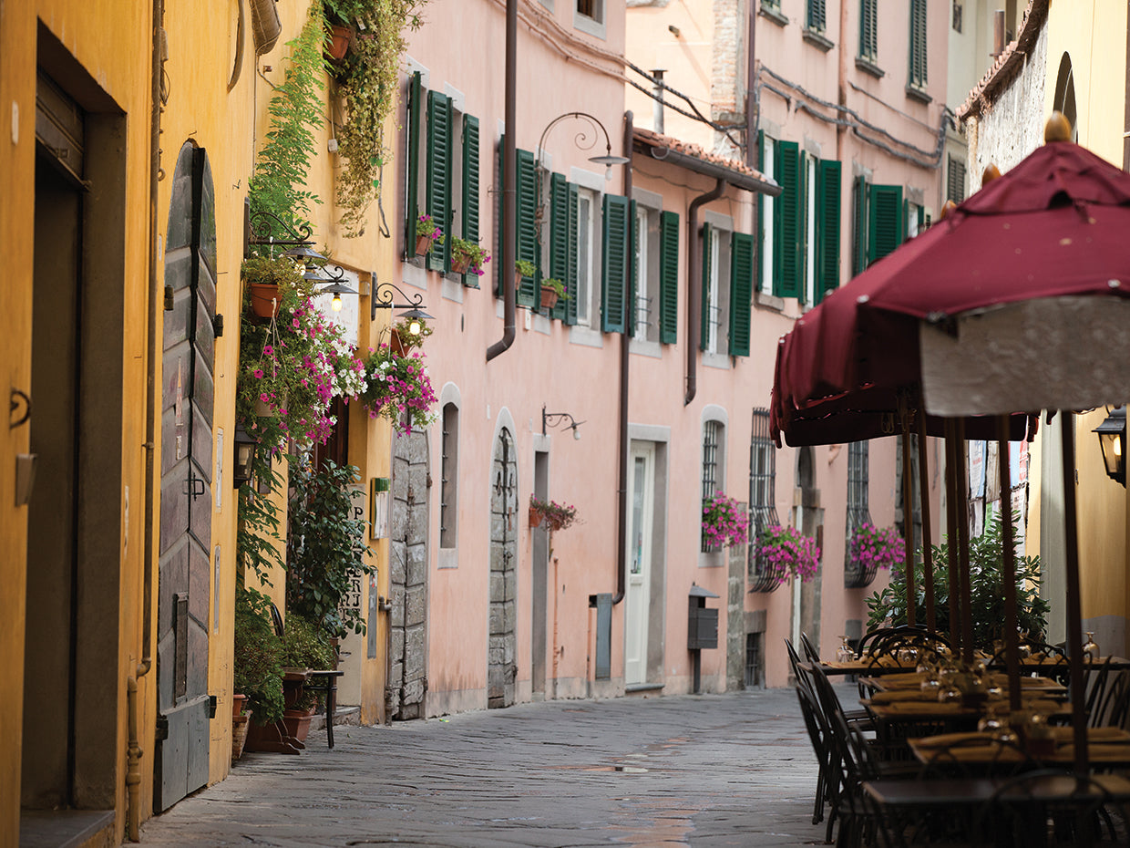 Tuscan Town Blooms in Pink