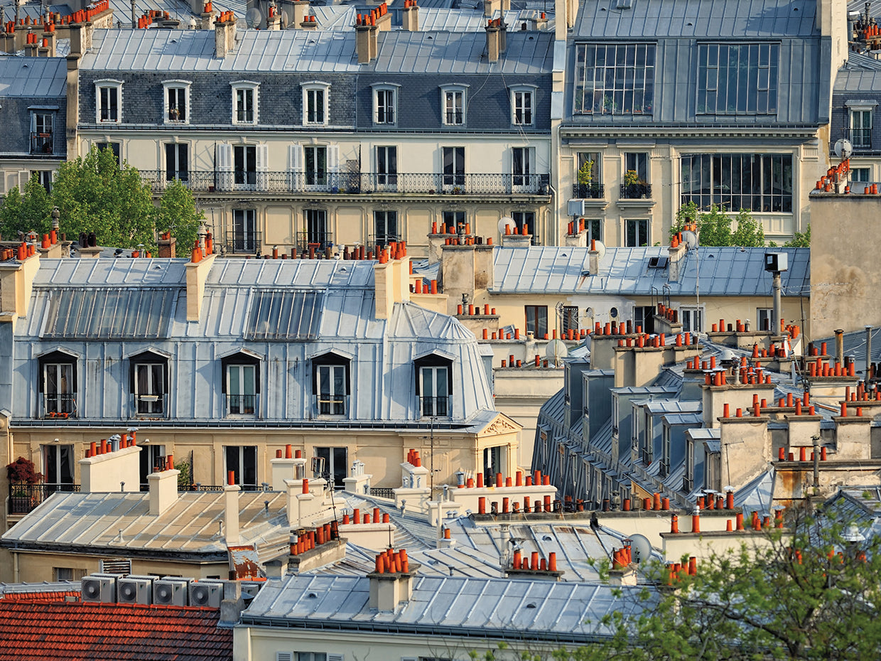 French Blue Monmartre Rooftops