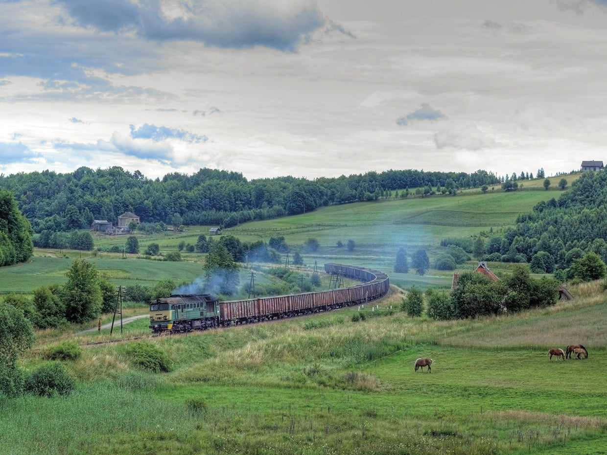 Countryside Train Trip