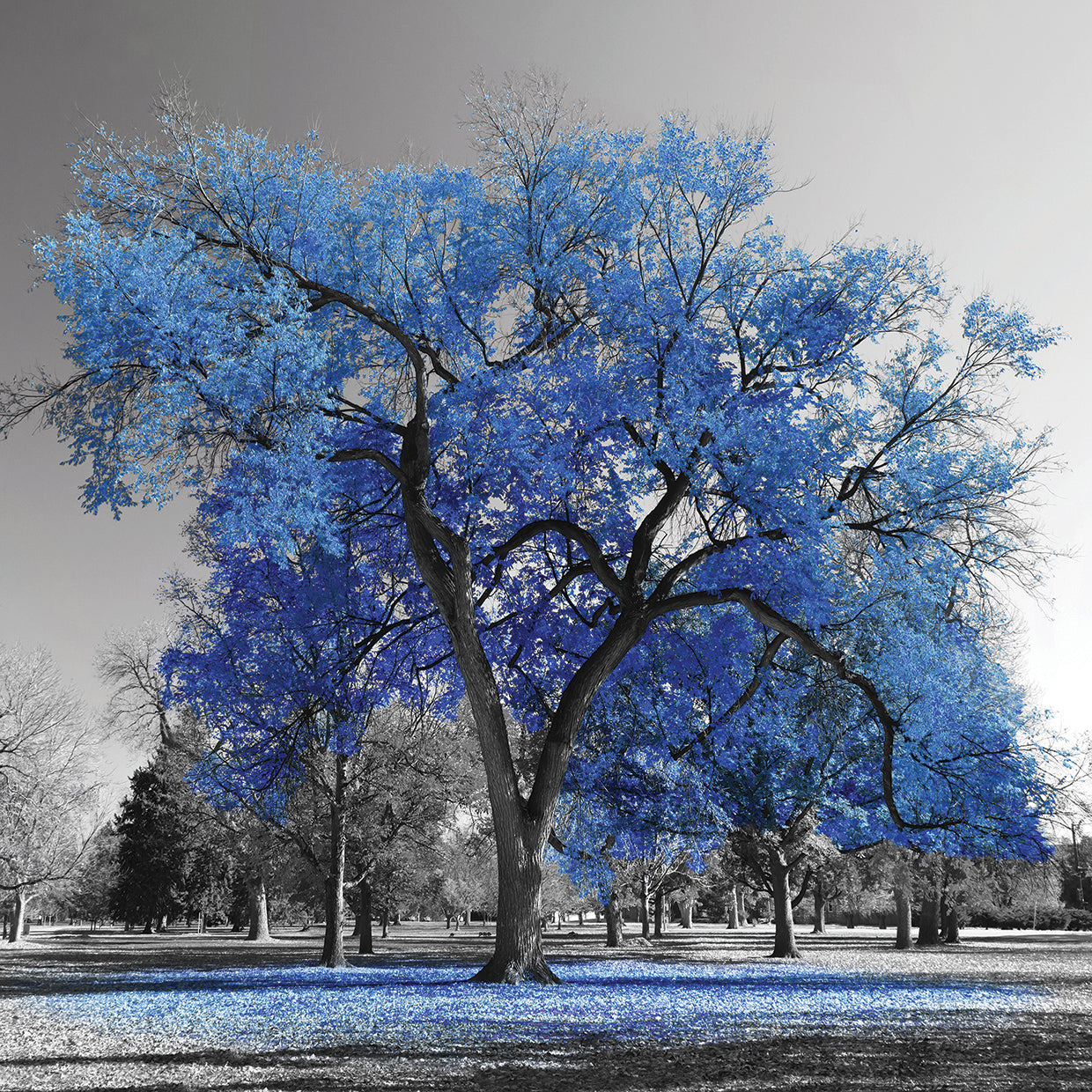 Arte de lienzo de árbol de flor de primavera azul grande