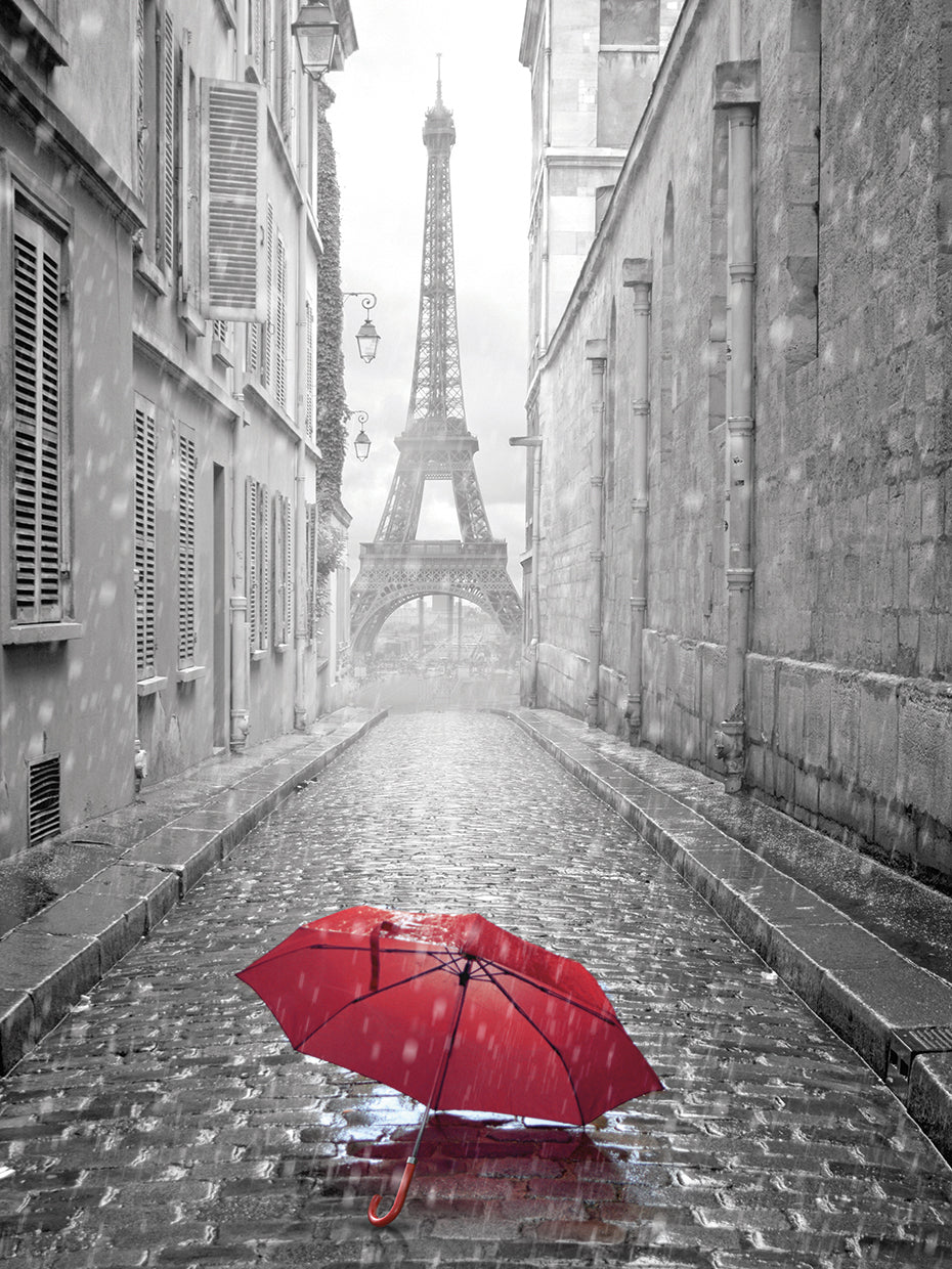 Arte de la lona del paraguas rojo del callejón de la torre Eiffel
