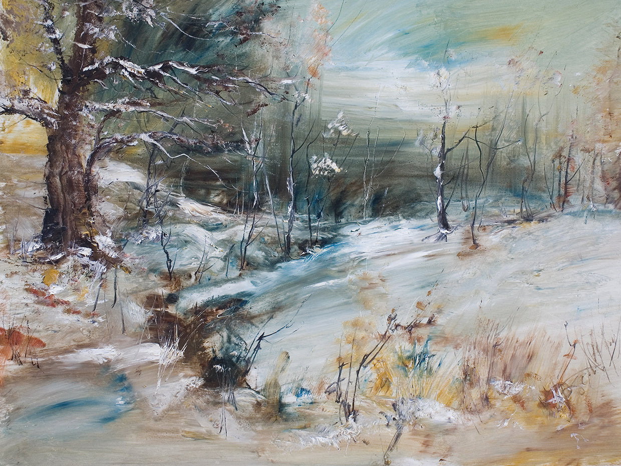 Christmas Morning Winter Walk