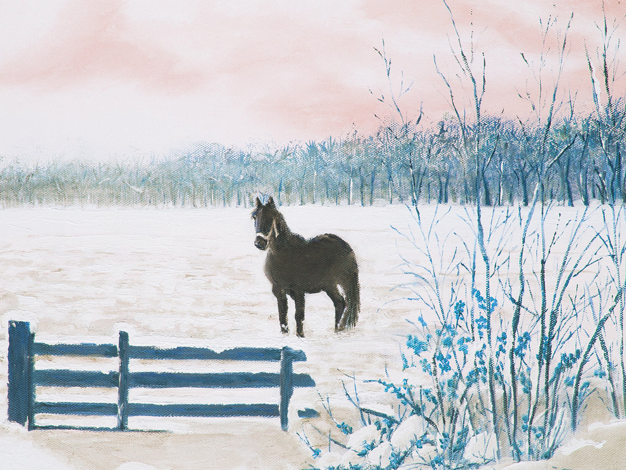 Frosty Field Friesian