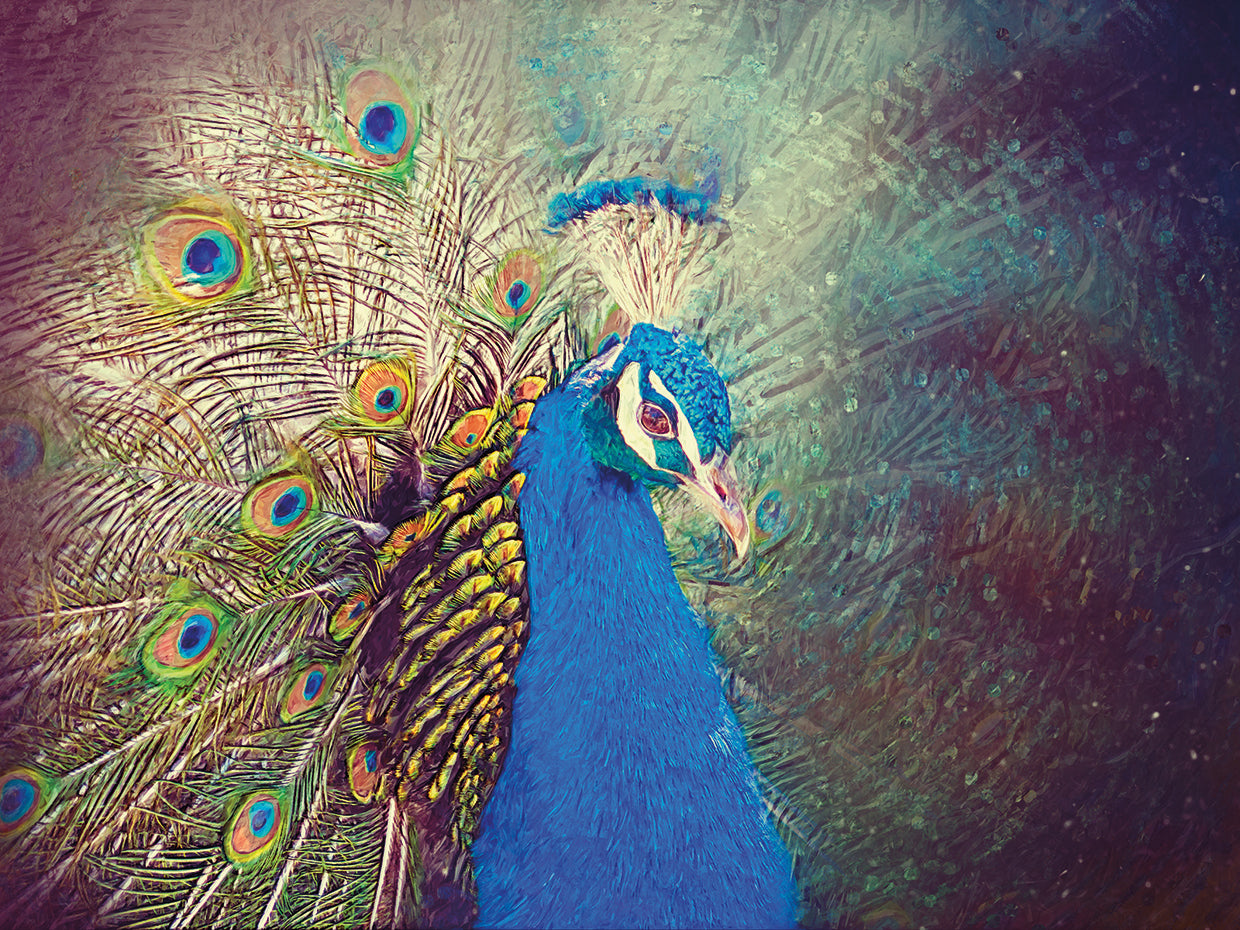 Bejeweled Peacock Portrait
