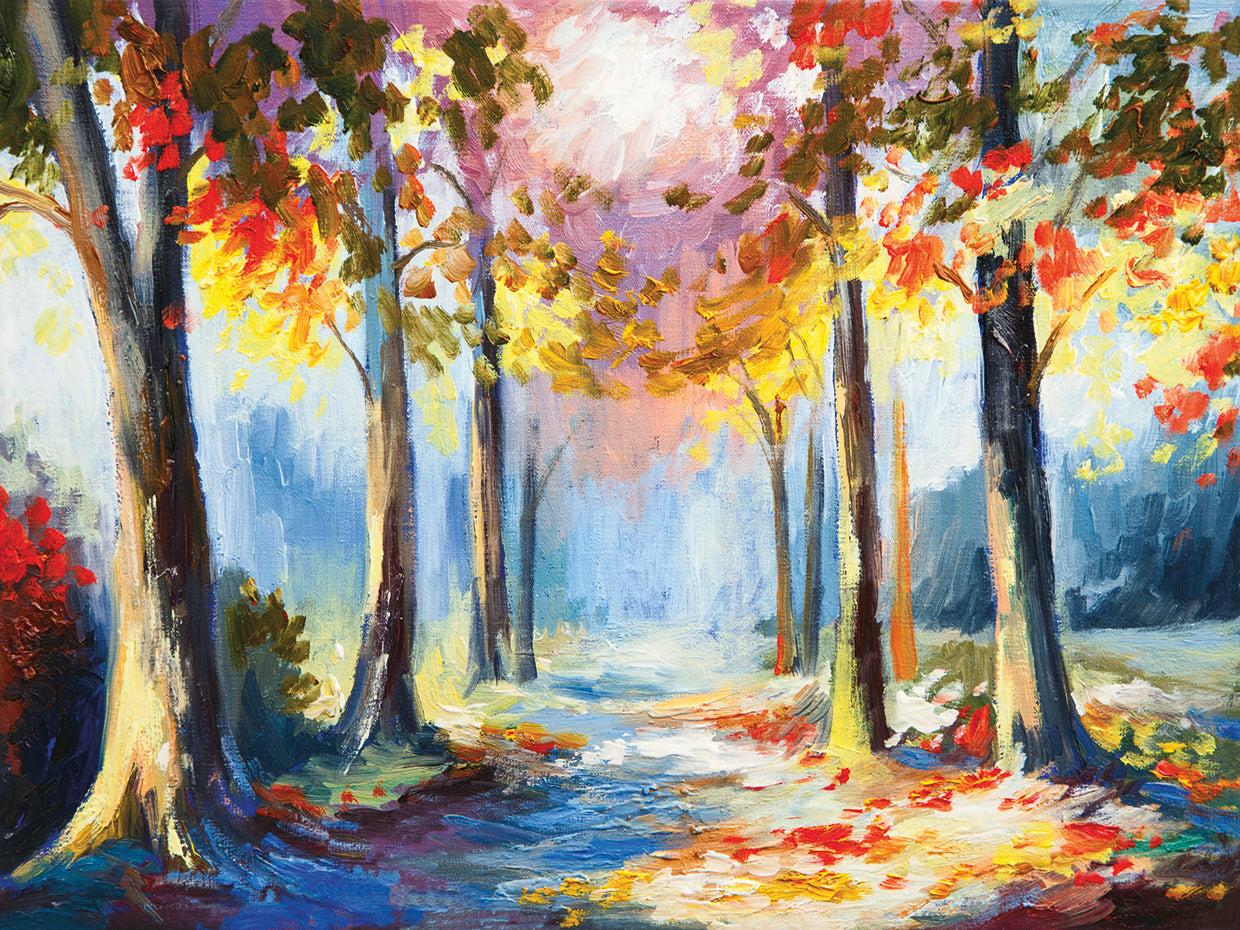 Pink Sunset Forest Trail