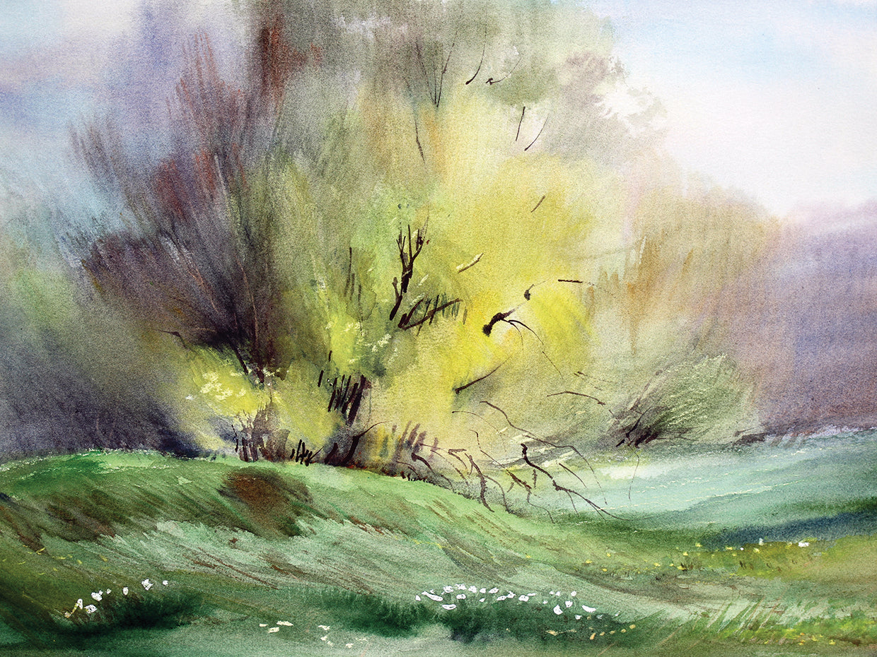 Watercolor Willow Meadow
